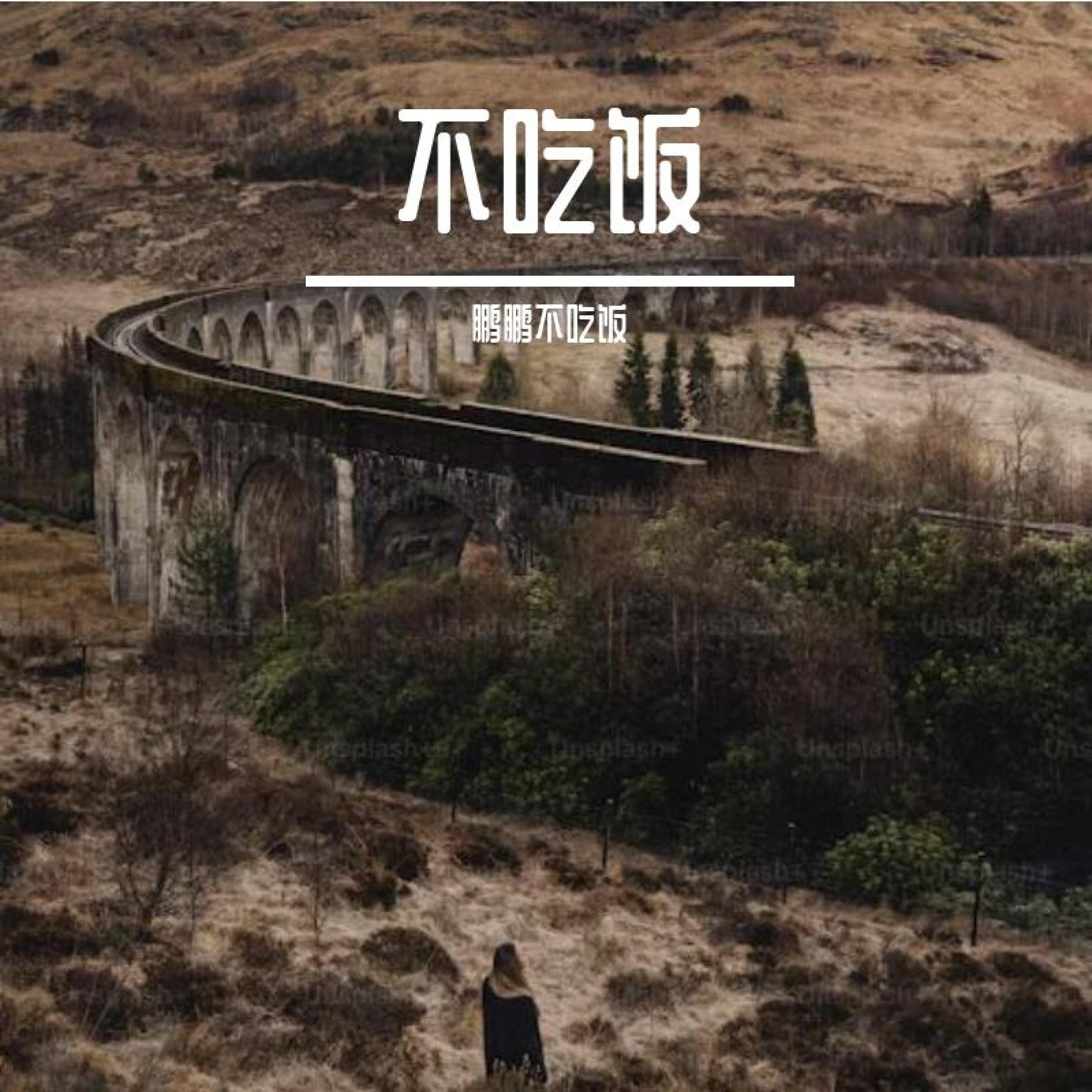 鹏鹏不吃饭