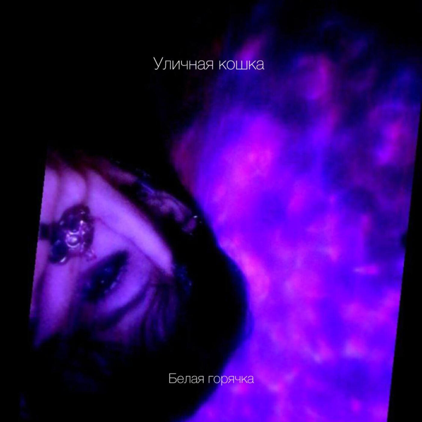 Релиз Уличная кошка