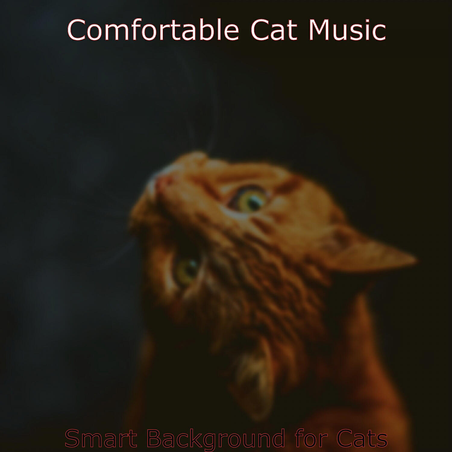 Релиз Smart Background for Cats