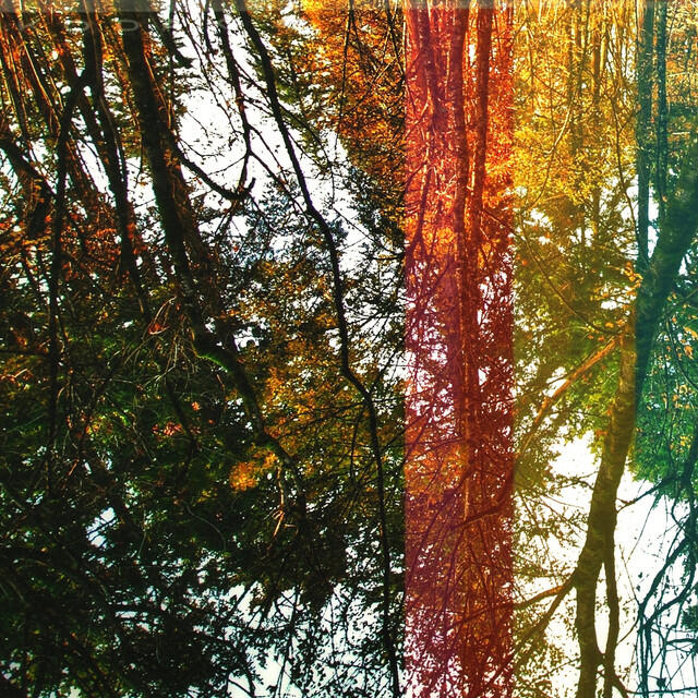 Релиз forest temple