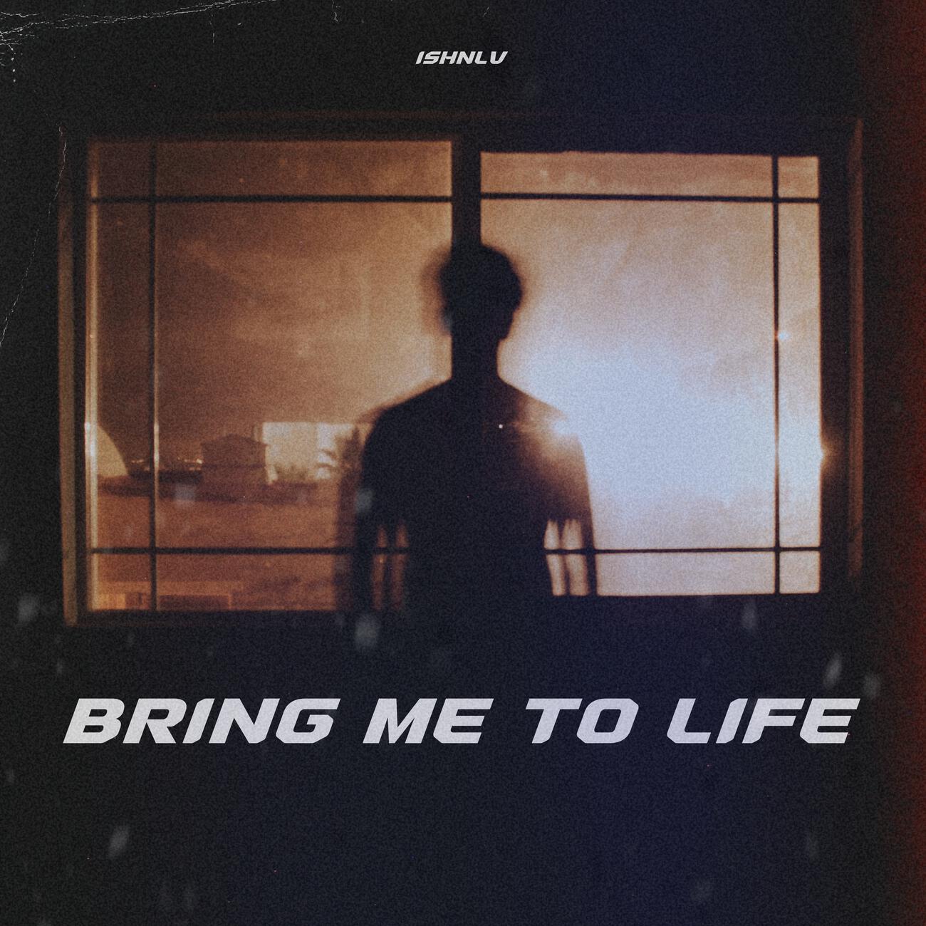 Релиз Bring Me To Life (DnB)