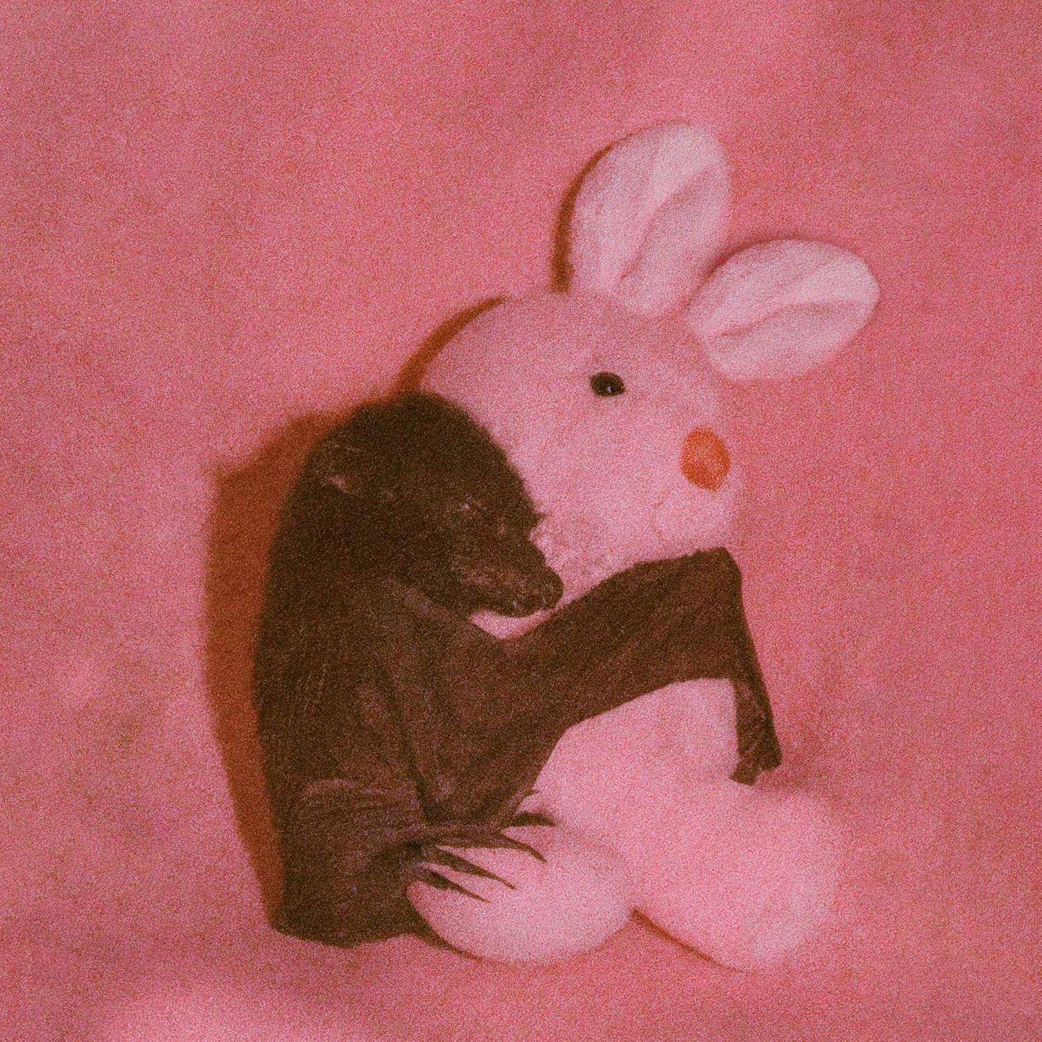 Релиз скворечник