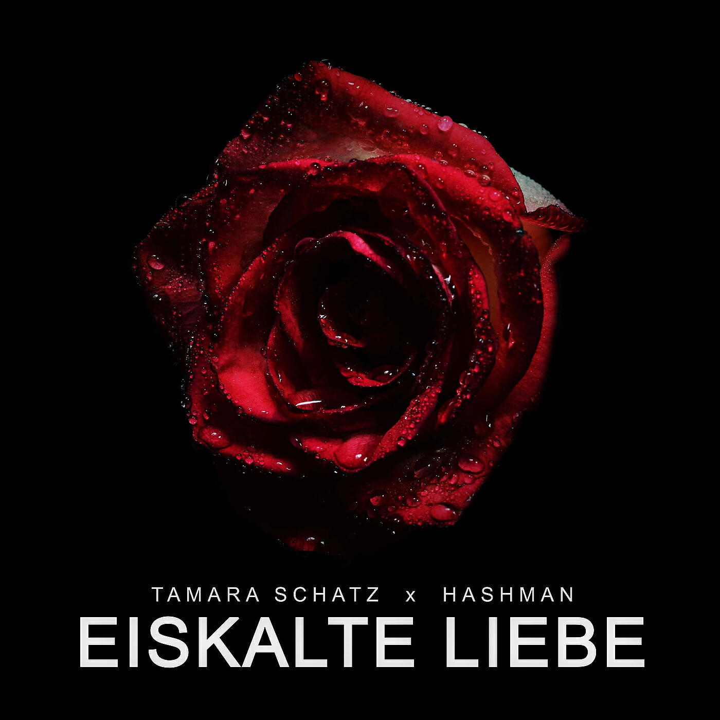 Релиз Eiskalte Liebe