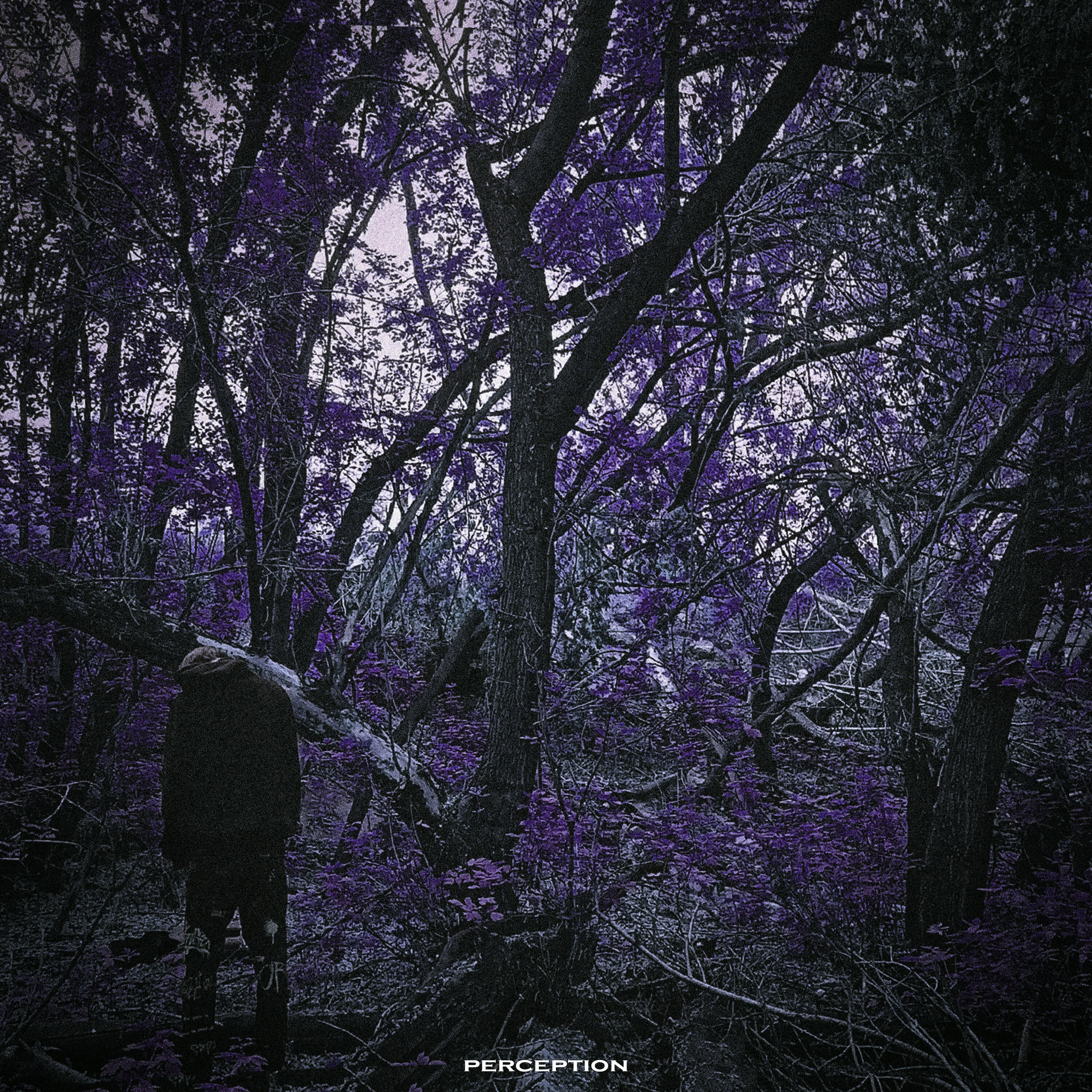 Релиз Perception I