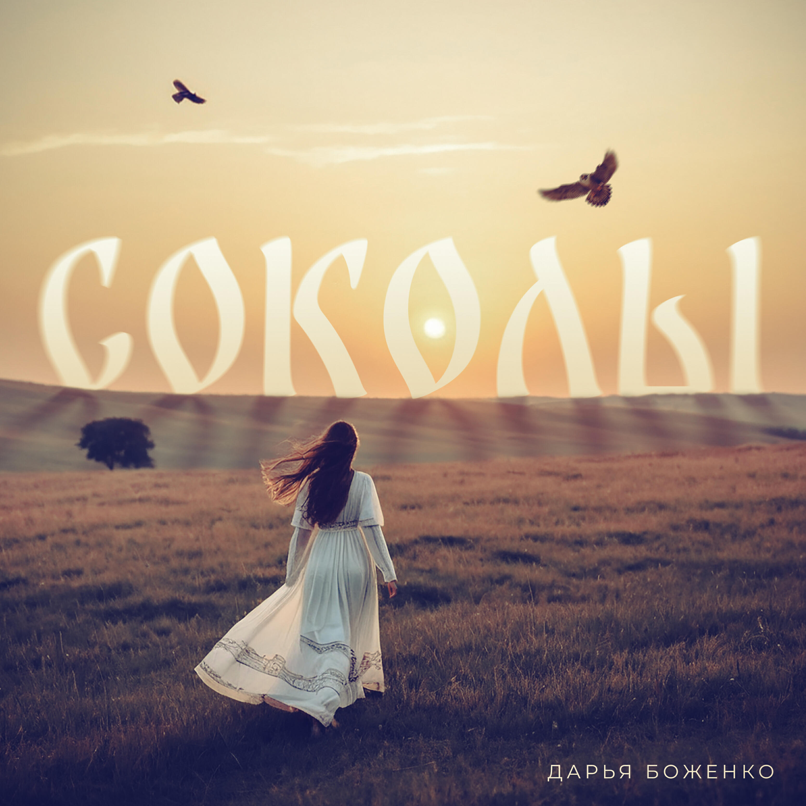 Релиз Соколы