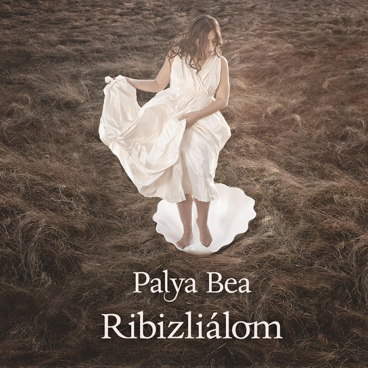 Релиз Ribizliálom