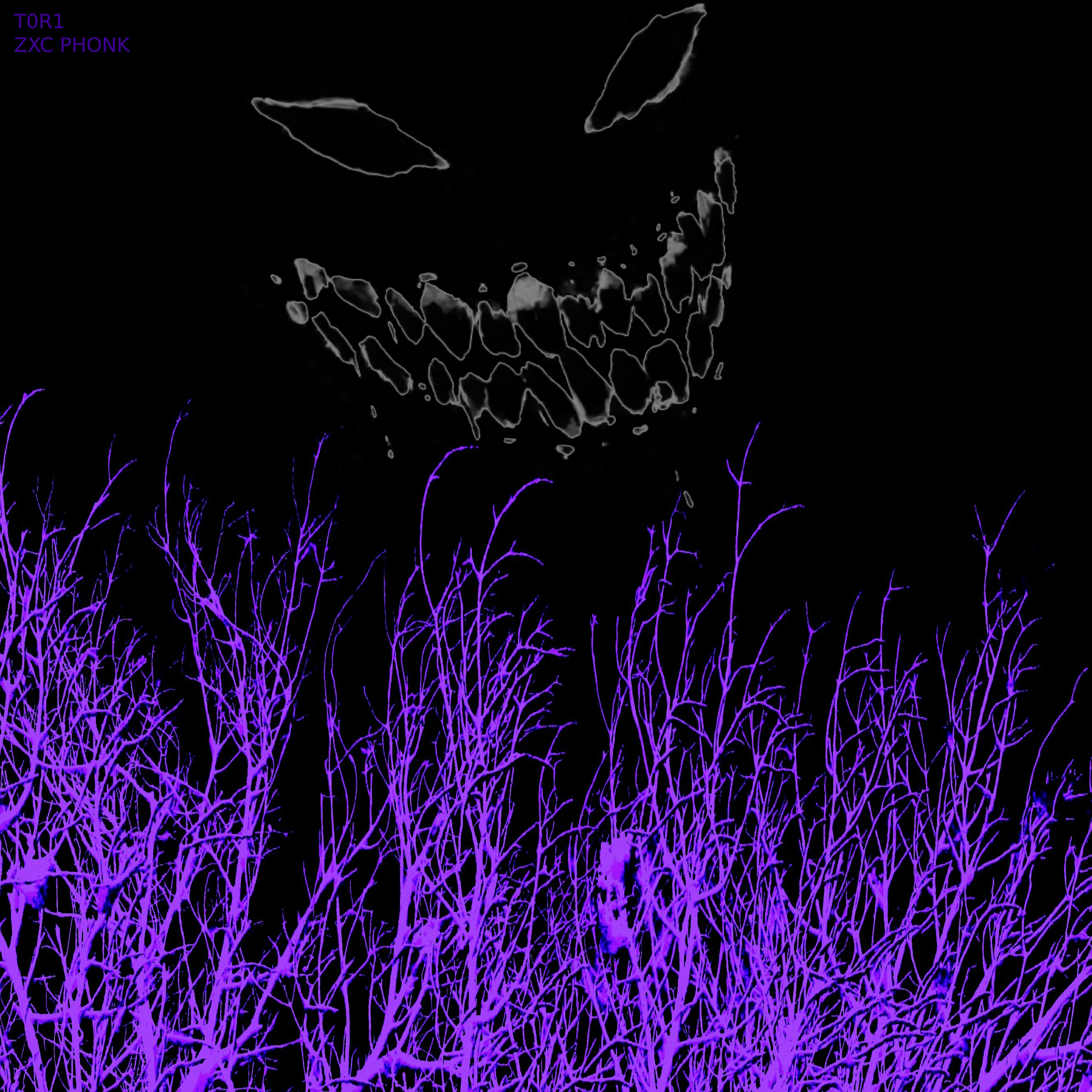 Релиз Zxc Phonk