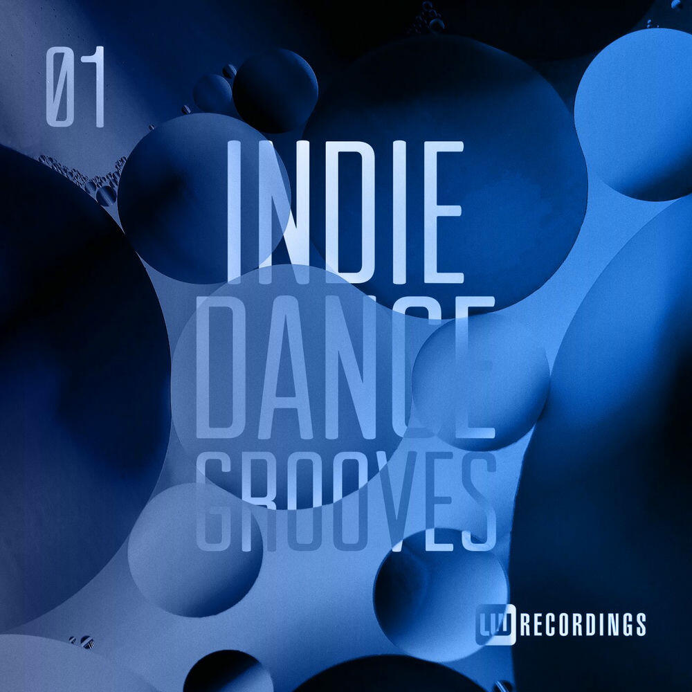 Релиз Indie Dance Grooves, Vol. 01