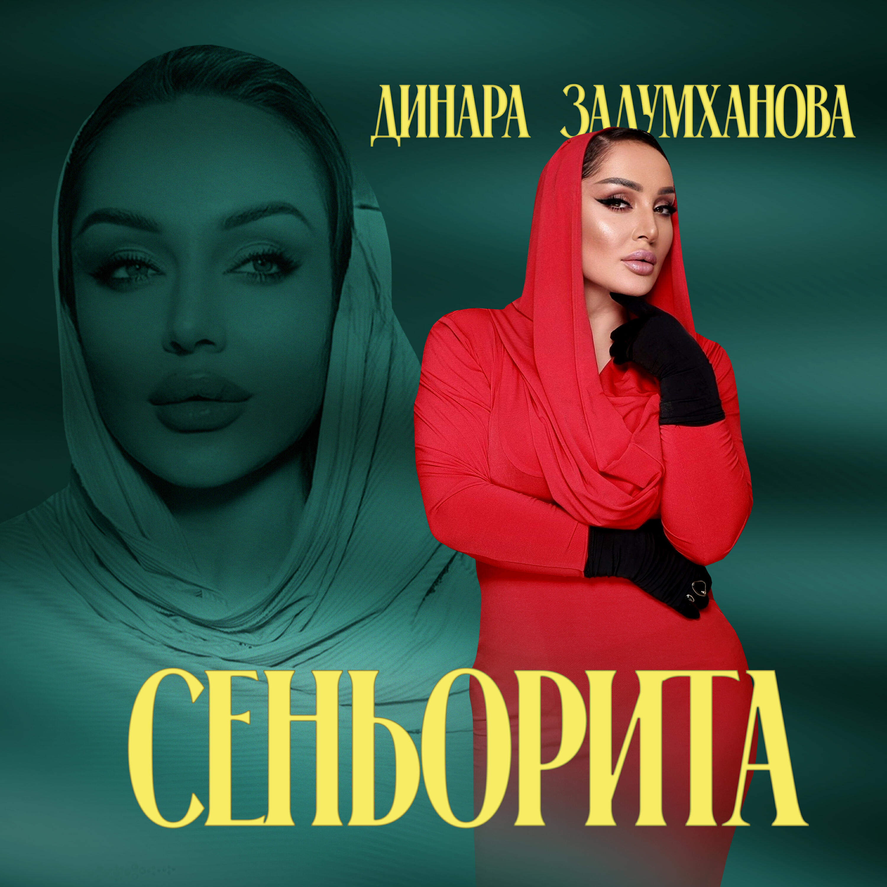 Релиз Сеньорита