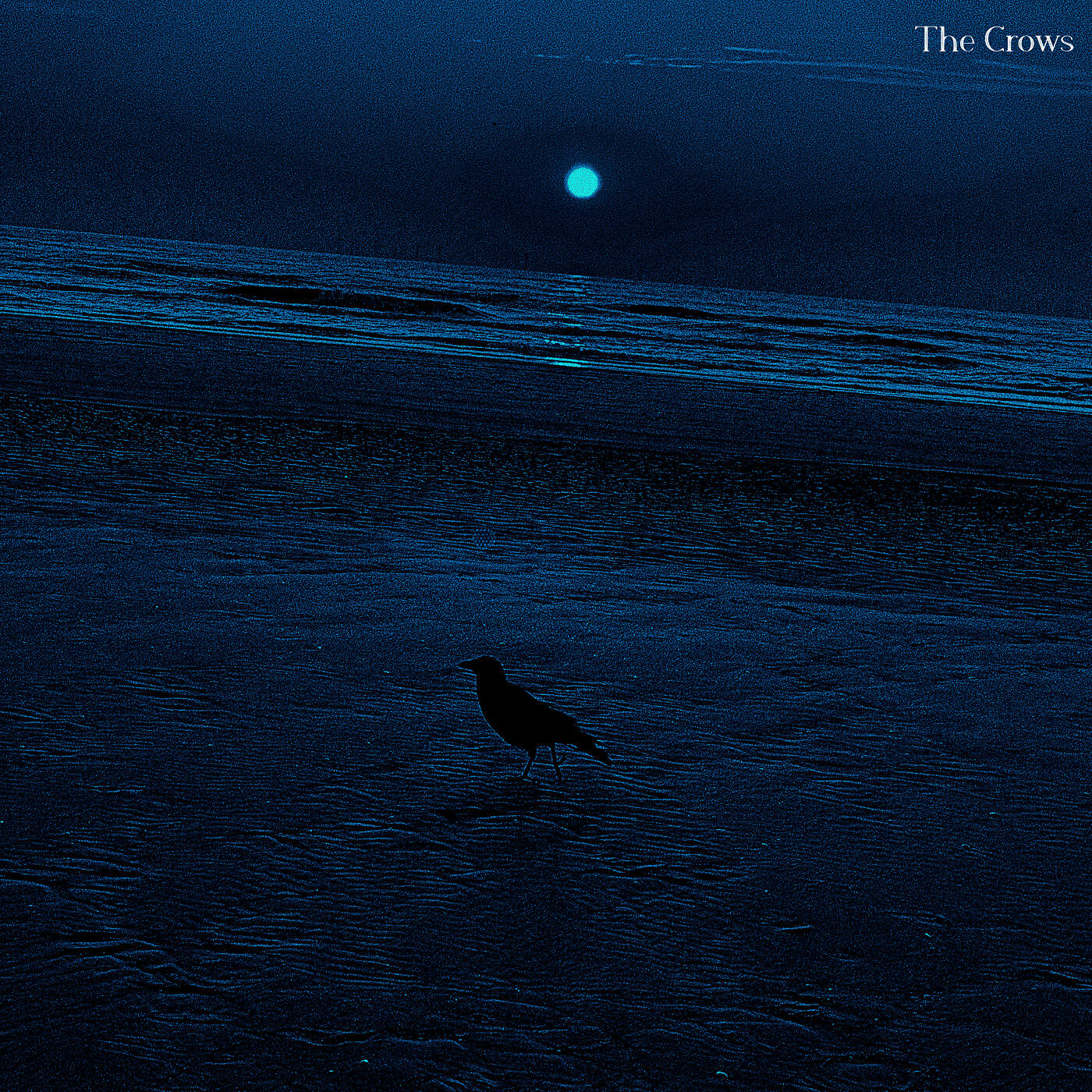 Релиз The Crows