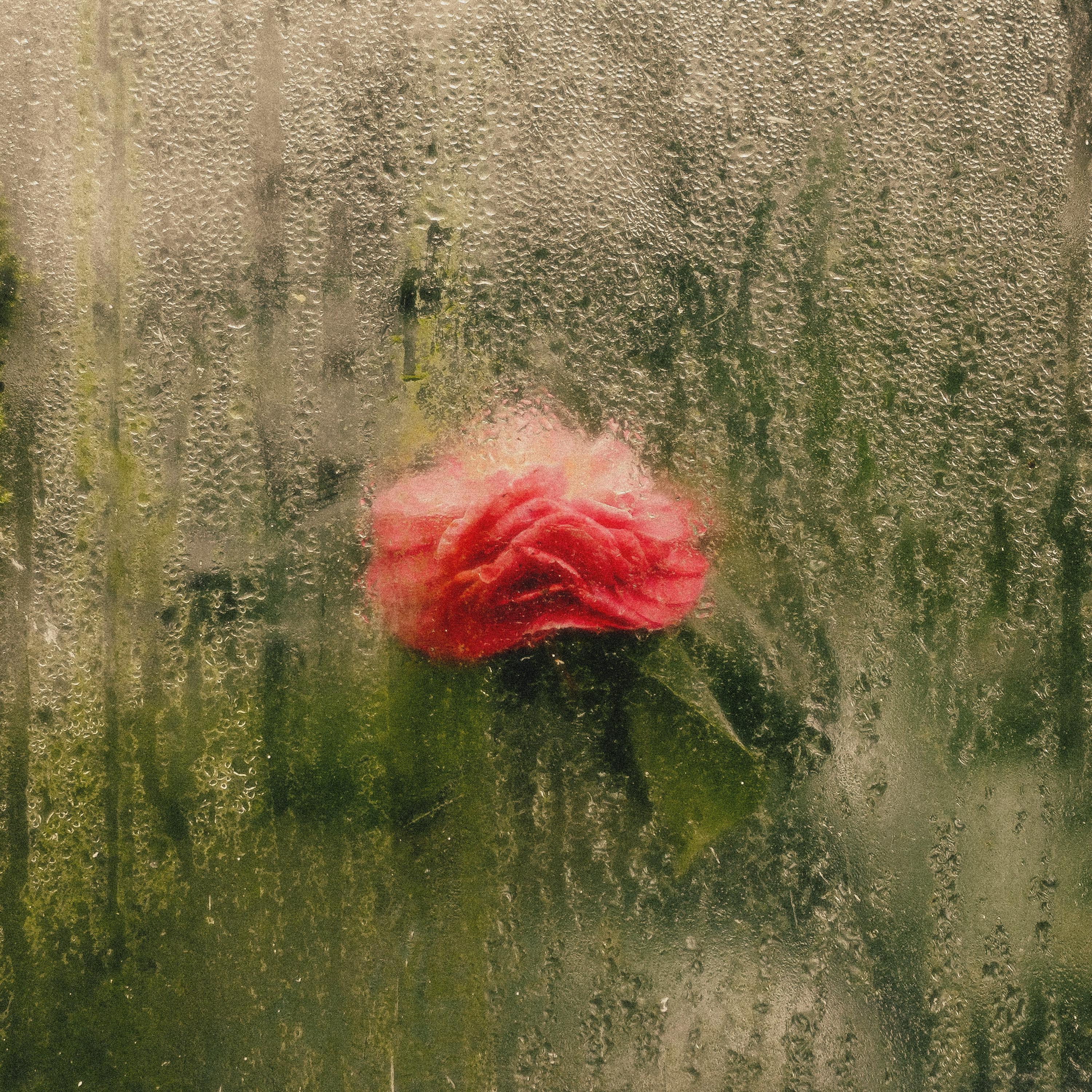 Релиз spring rain