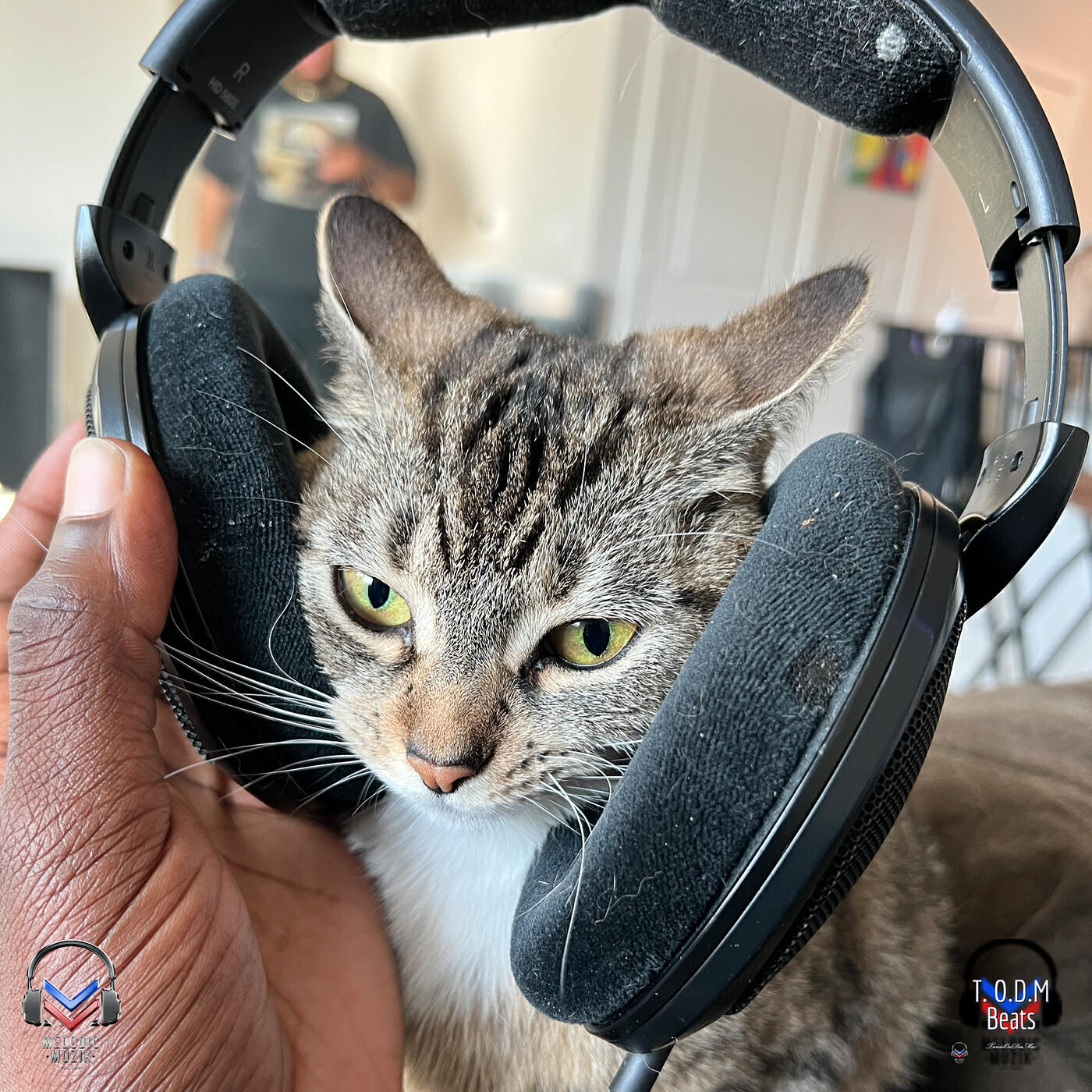 Релиз Thund3r Cat