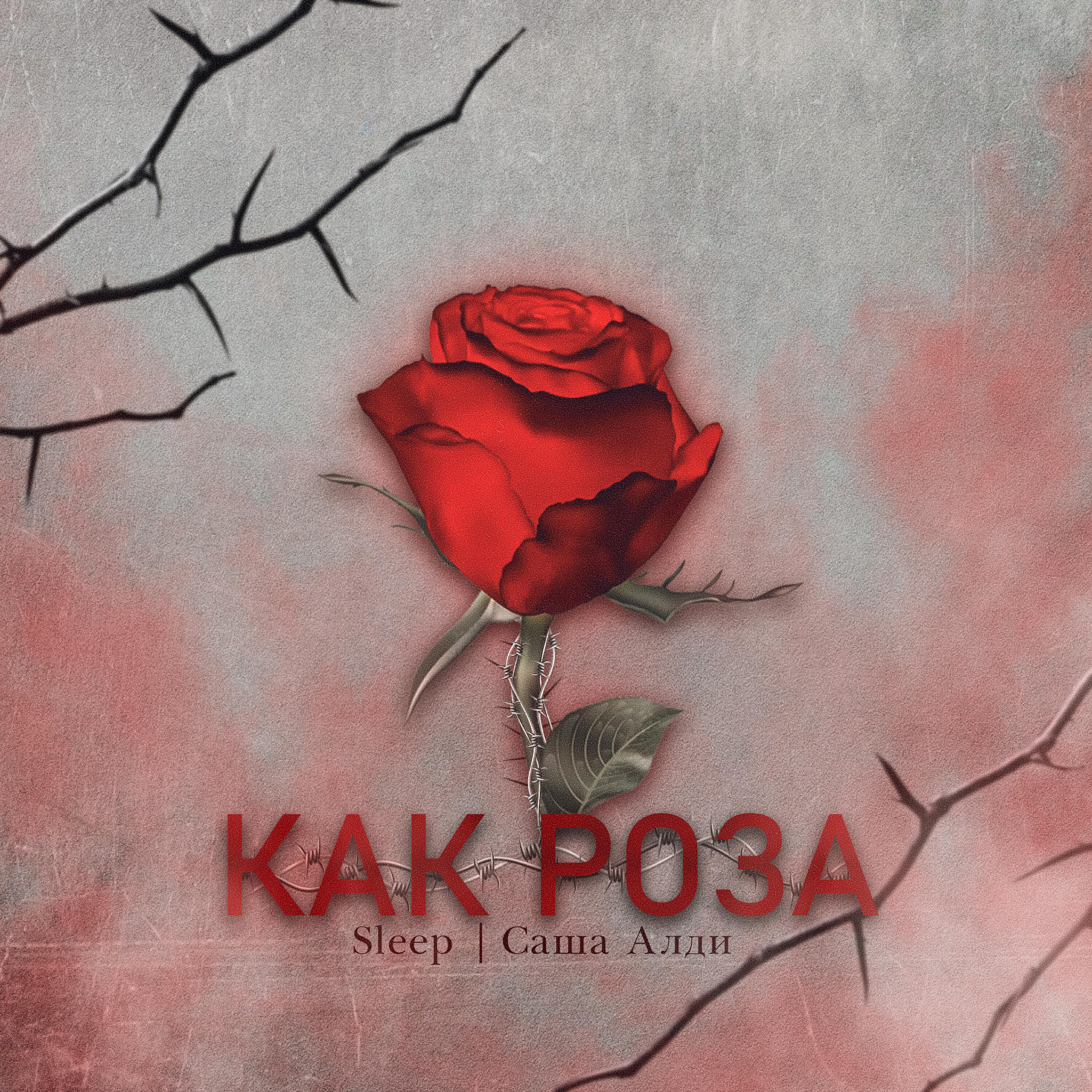 Релиз Как роза