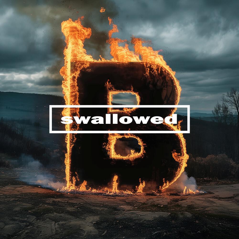 Релиз Swallowed (30 Suns Of Sound)