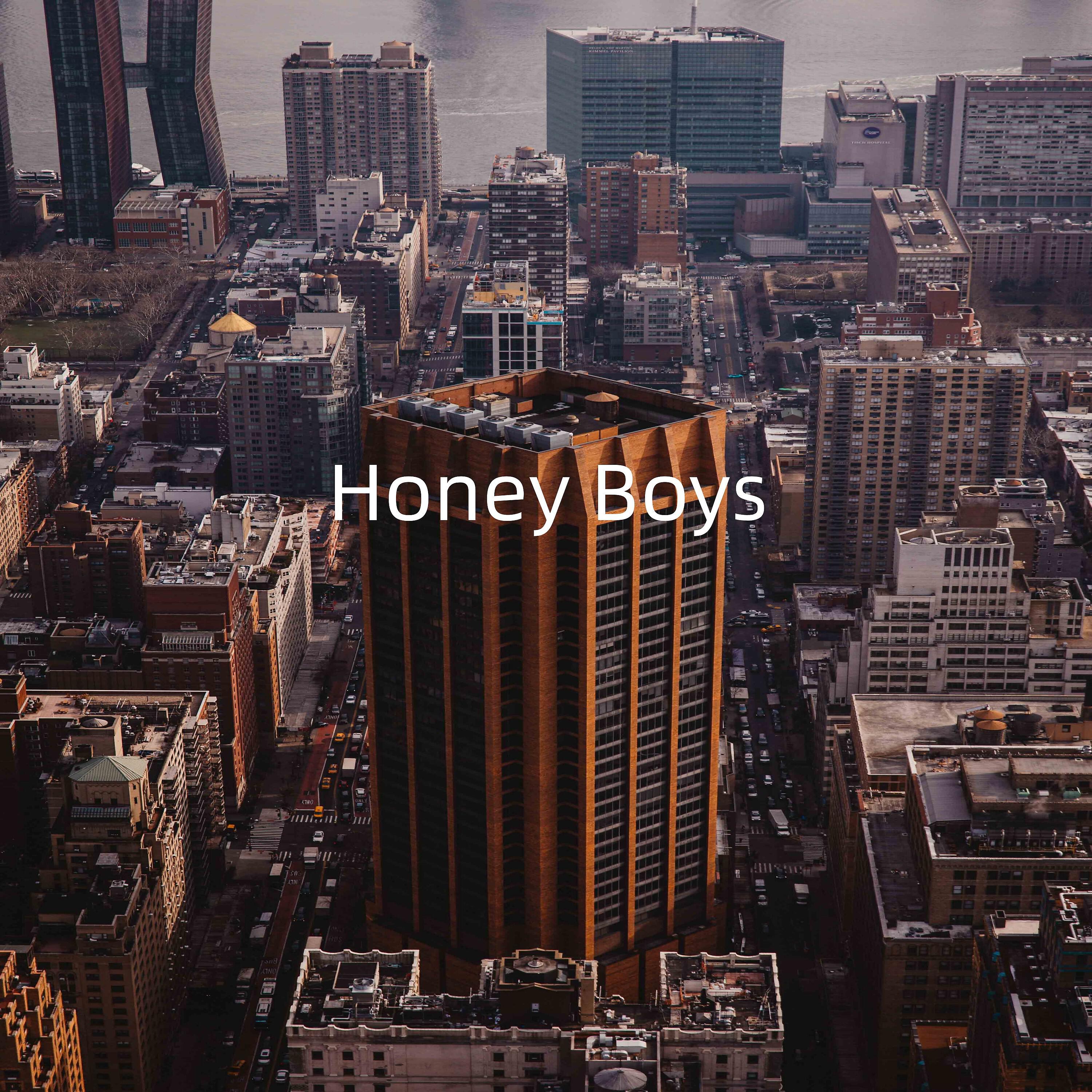 Релиз Honey Boys