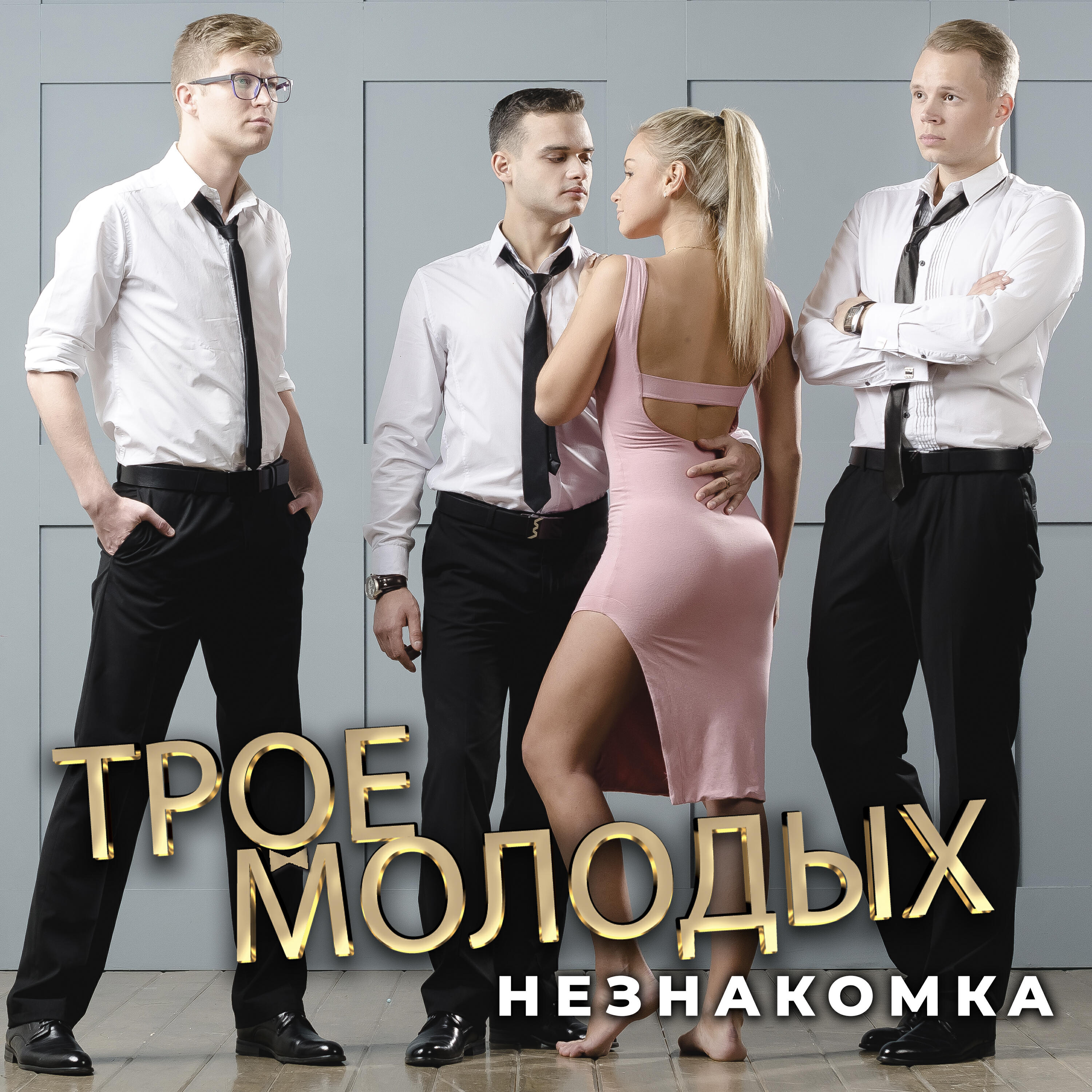 Постер альбома Незнакомка