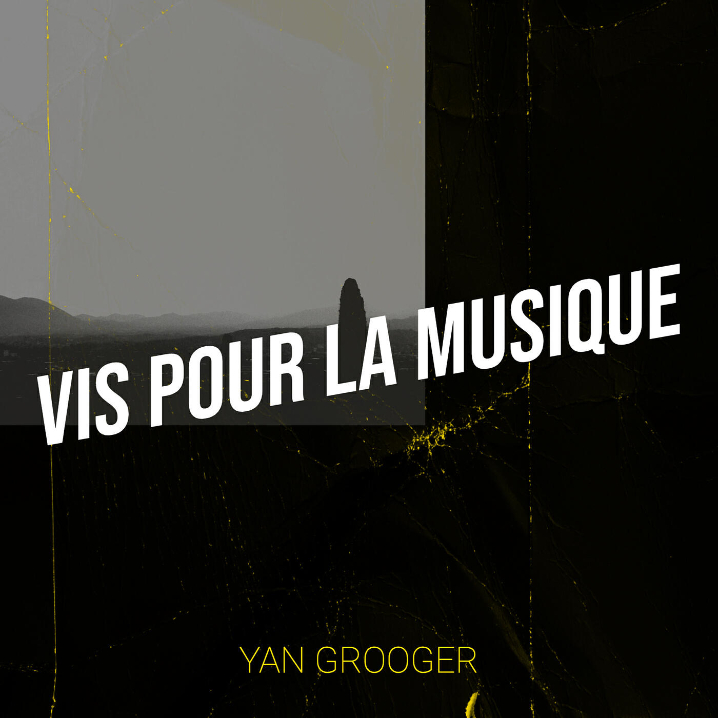 Релиз Vis pour la musique