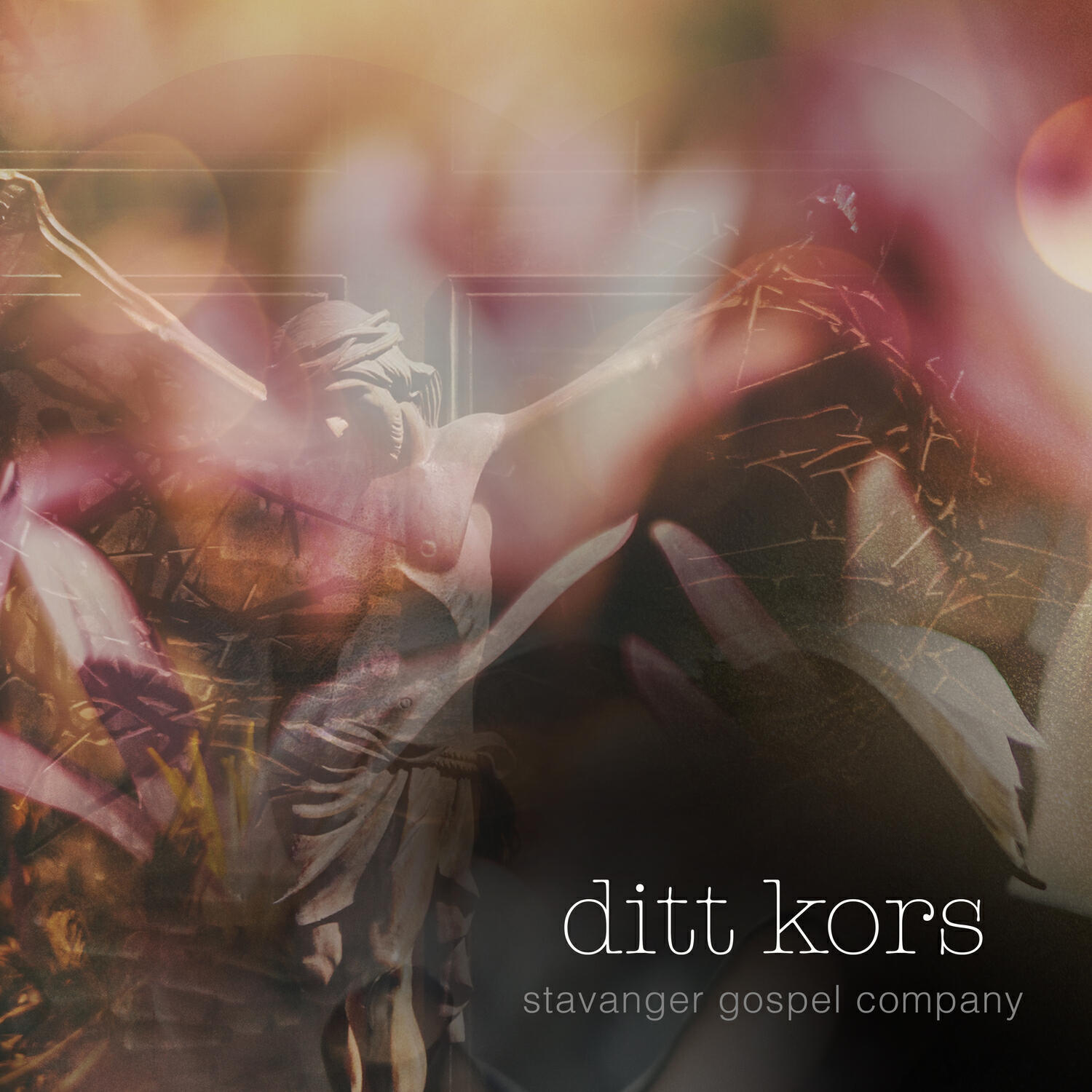 Релиз Ditt Kors