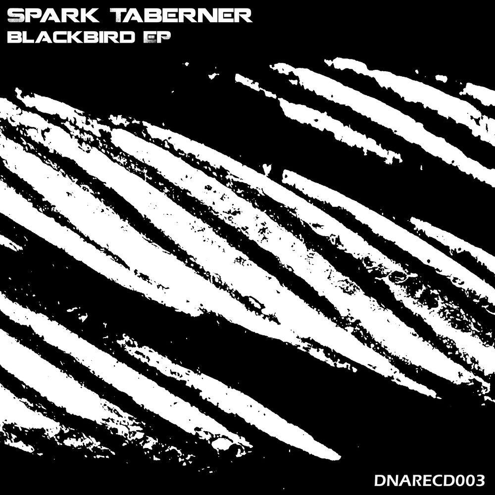 Релиз Blackbird EP