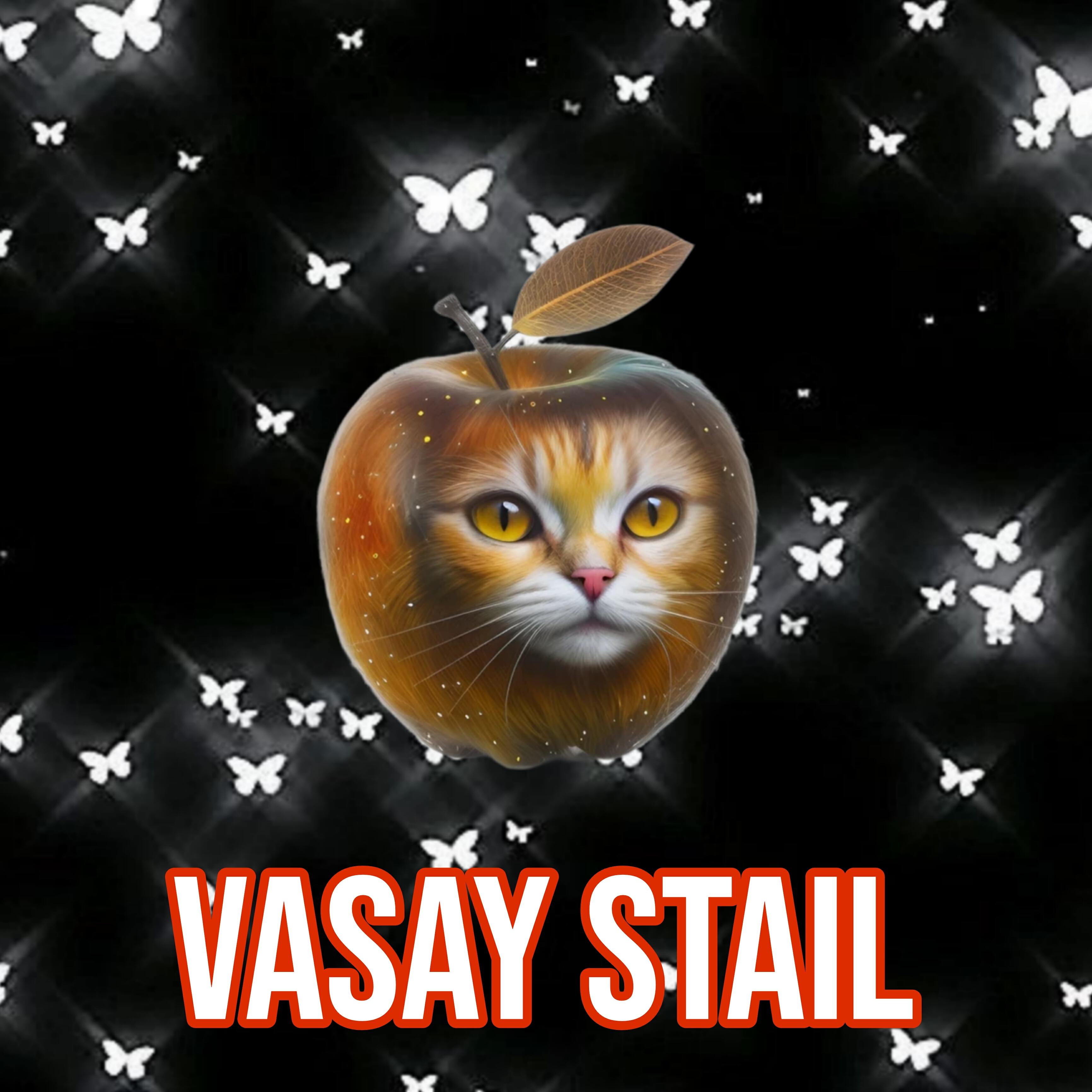 Релиз Vasay Stail