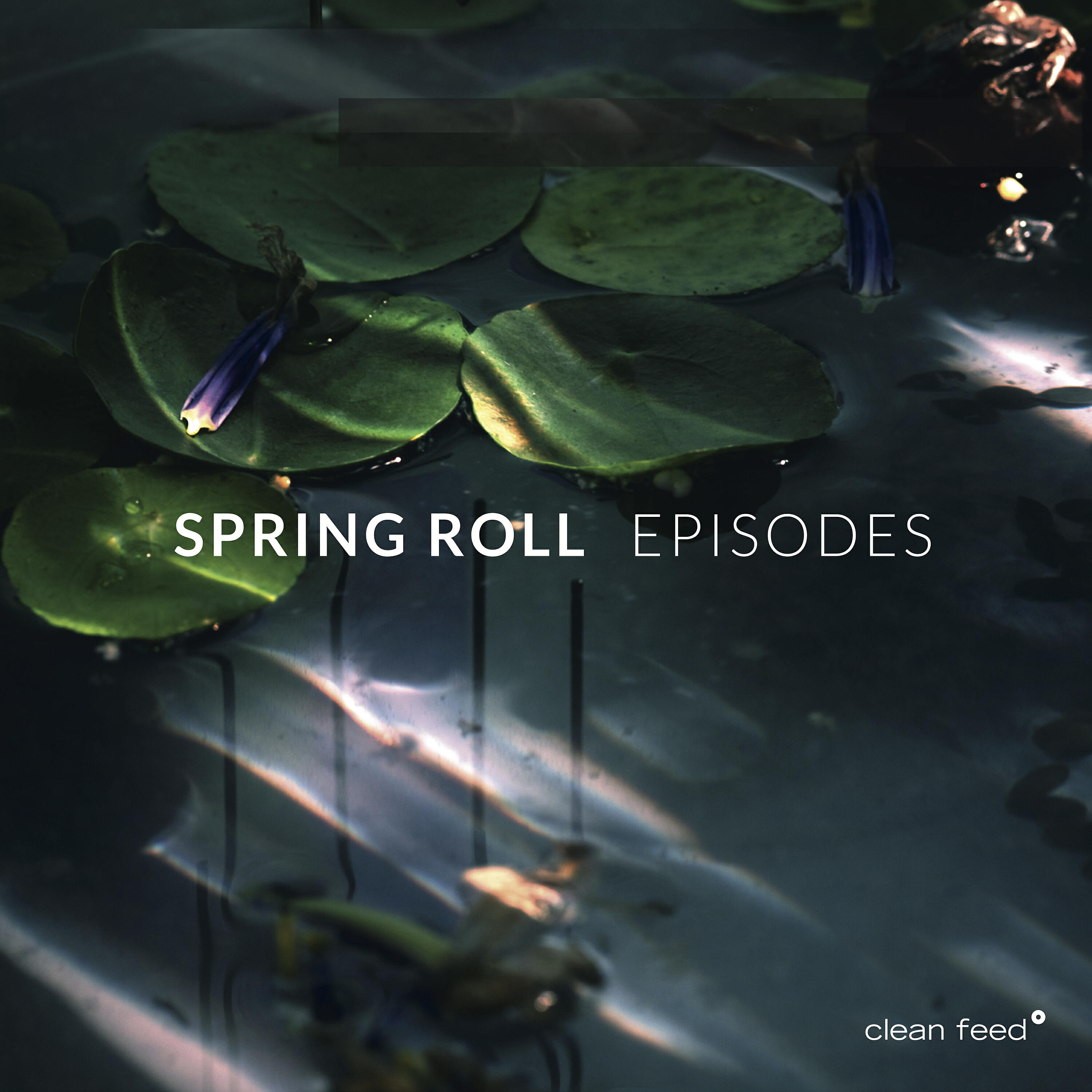 Spring Roll