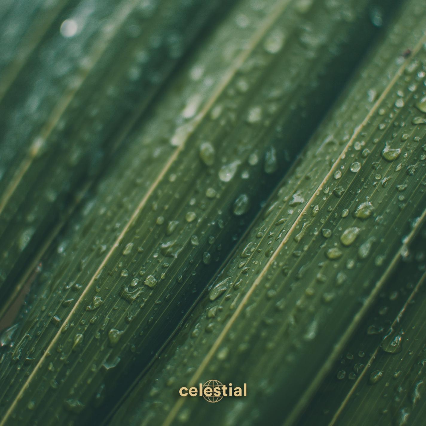 Релиз Rainy Dreamscape for Restful Nights