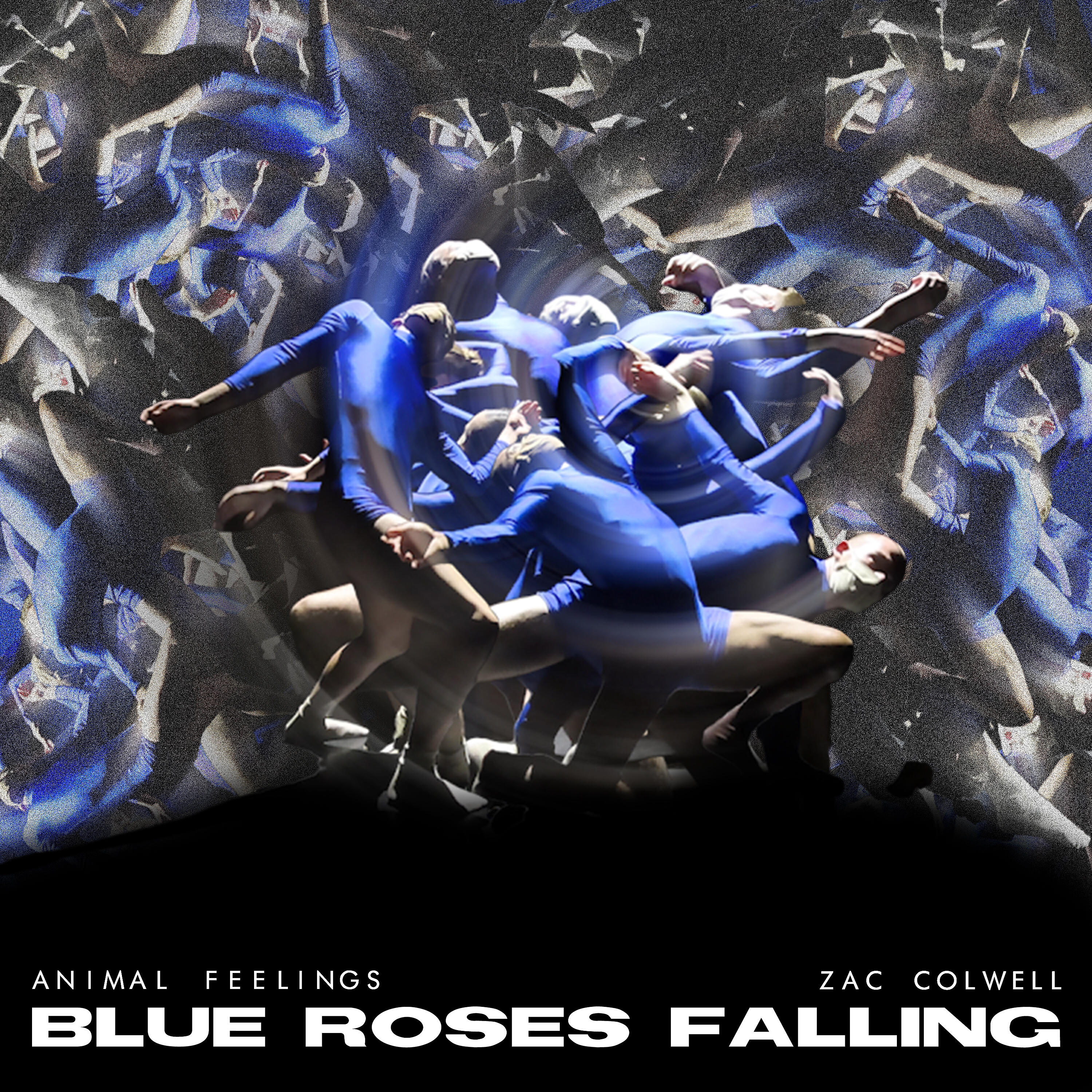 Релиз Blue Roses Falling