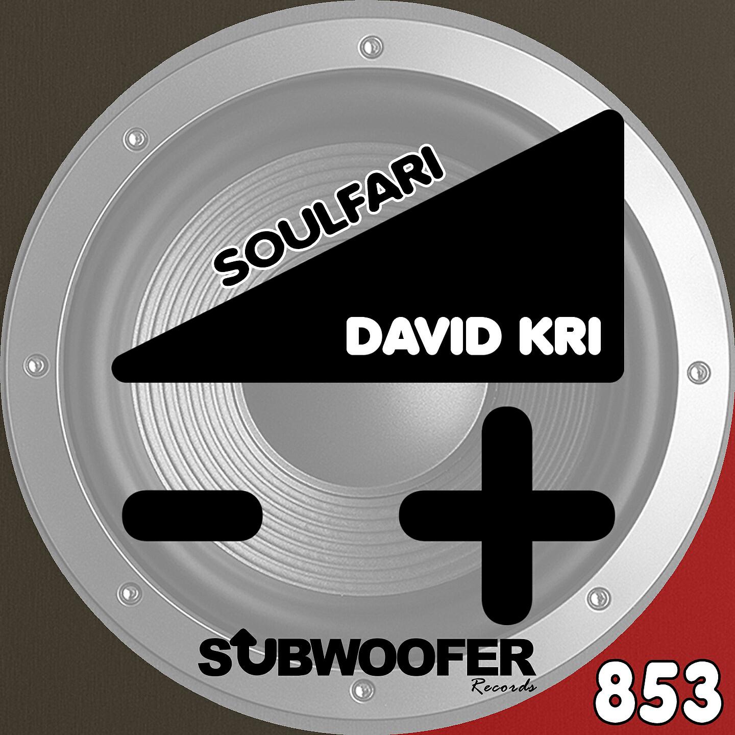 Релиз Soulfari