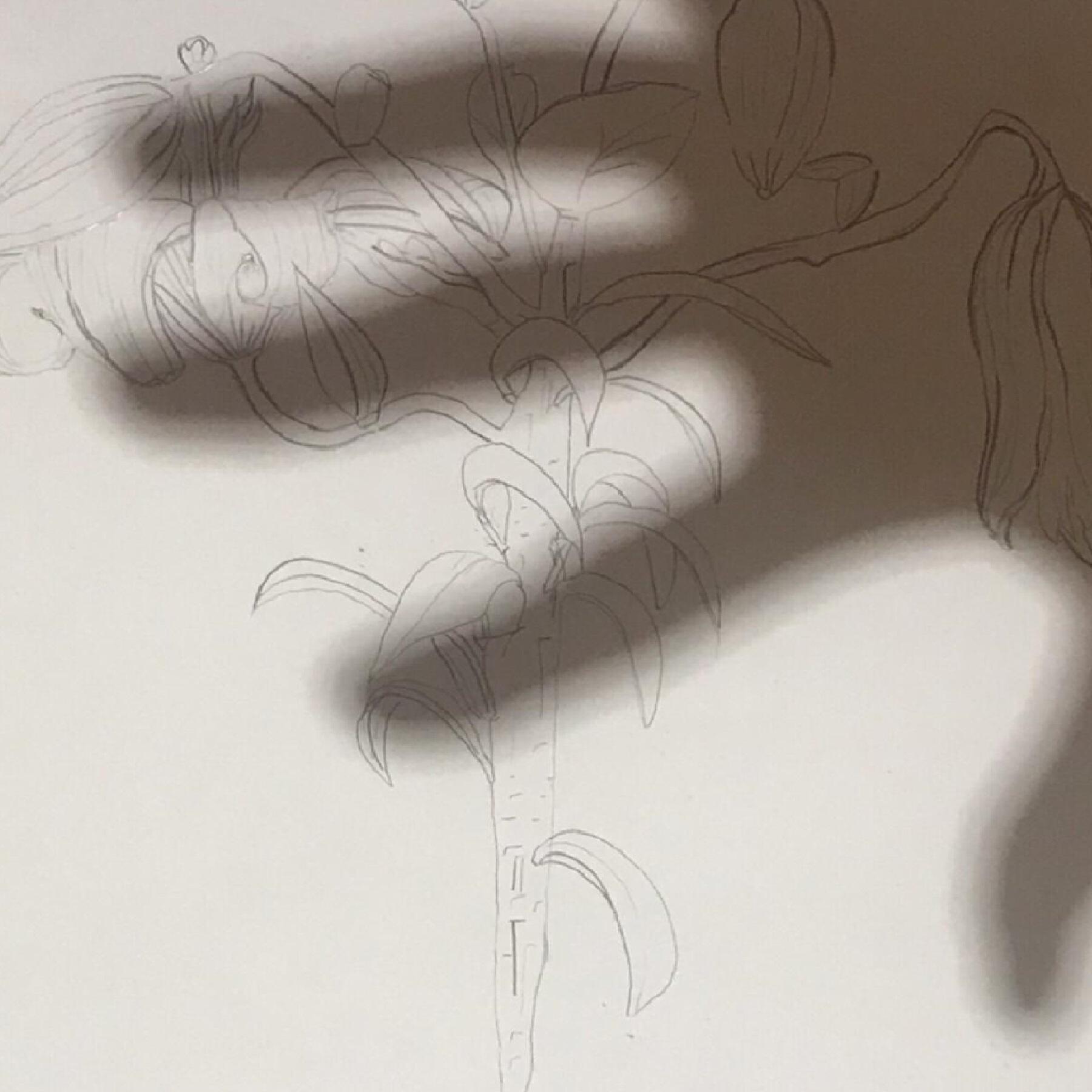 Релиз T. Q. M