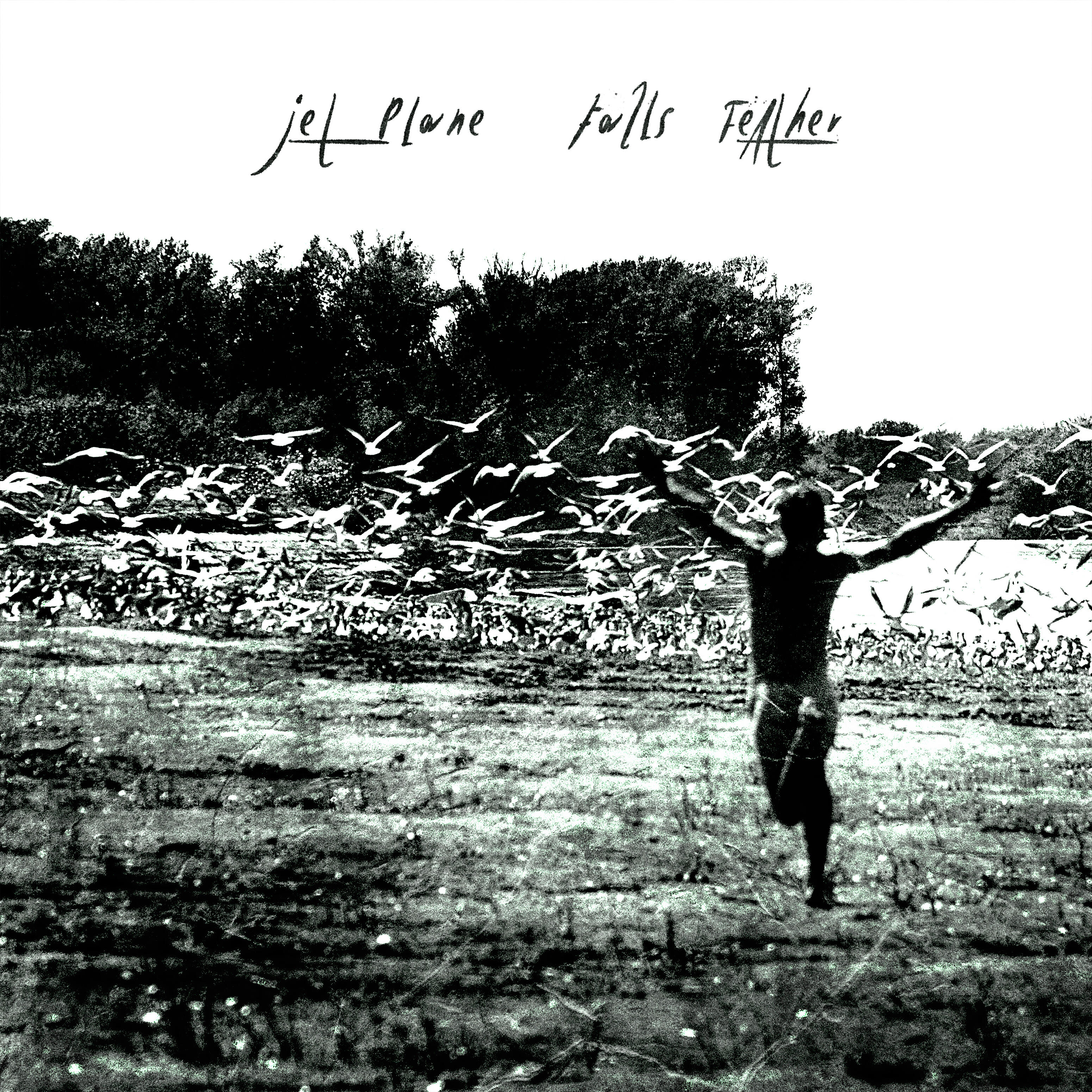 Релиз Falls Feather