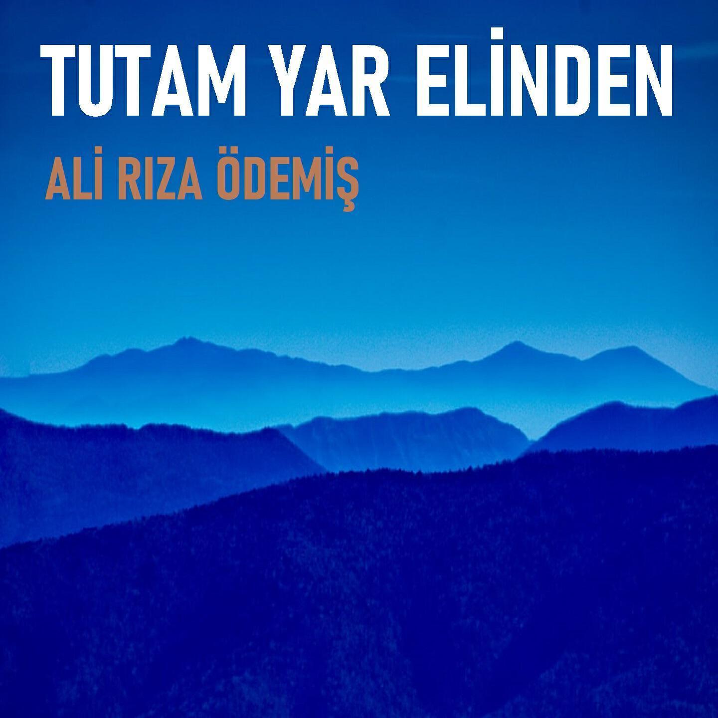 Ali Rıza Ödemiş