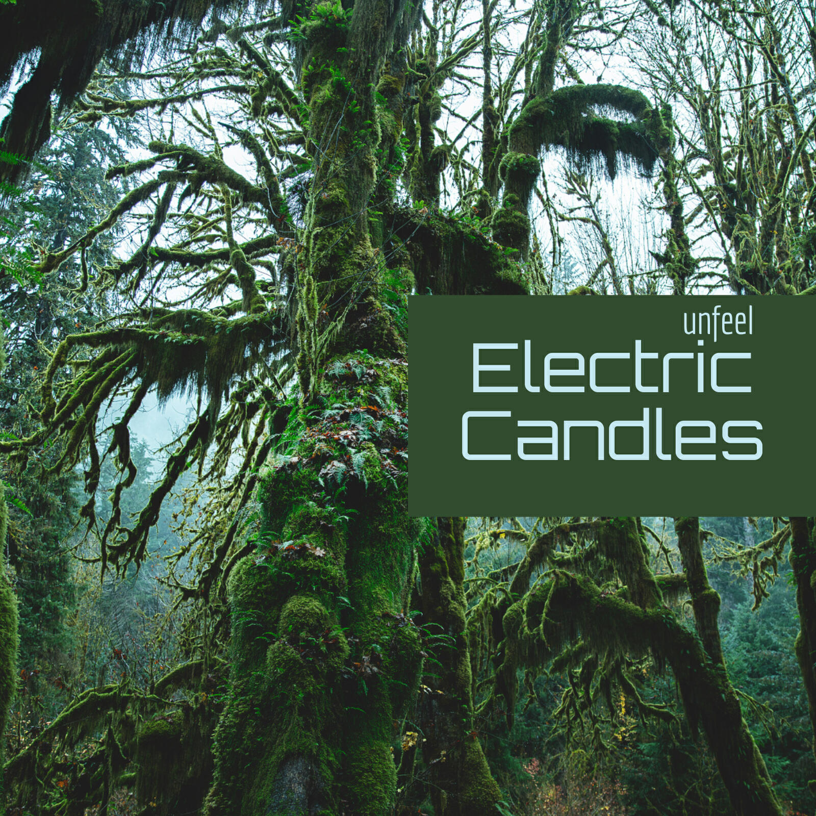 Релиз Electric Candles