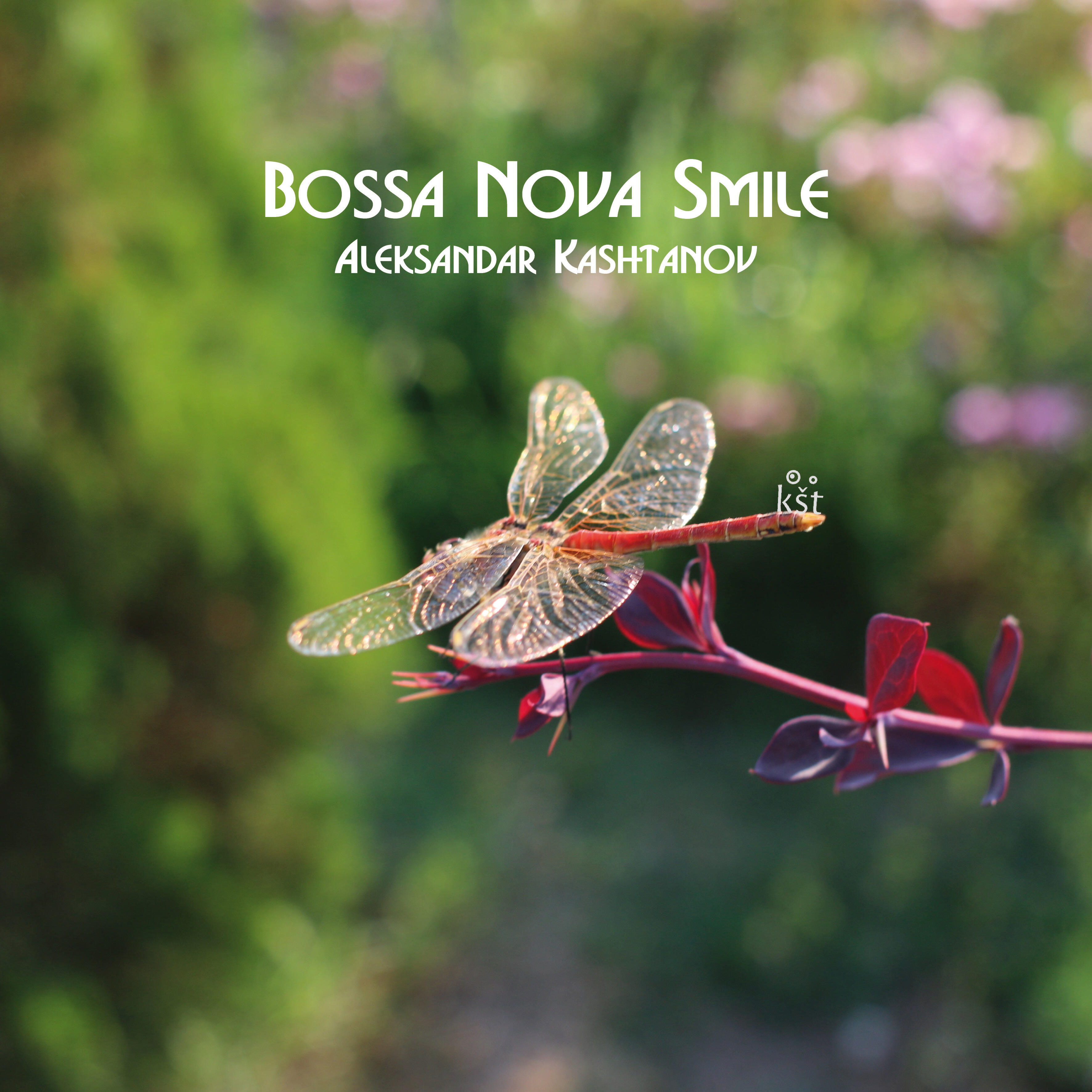 Релиз Bossa Nova Smile