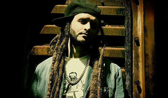 Alborosie [feat. David Hinds]