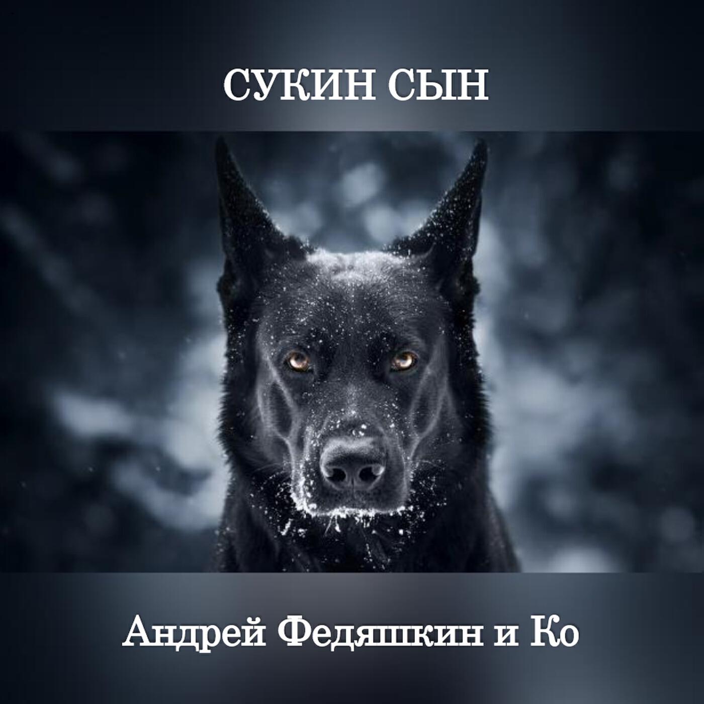 Релиз Сукин Сын