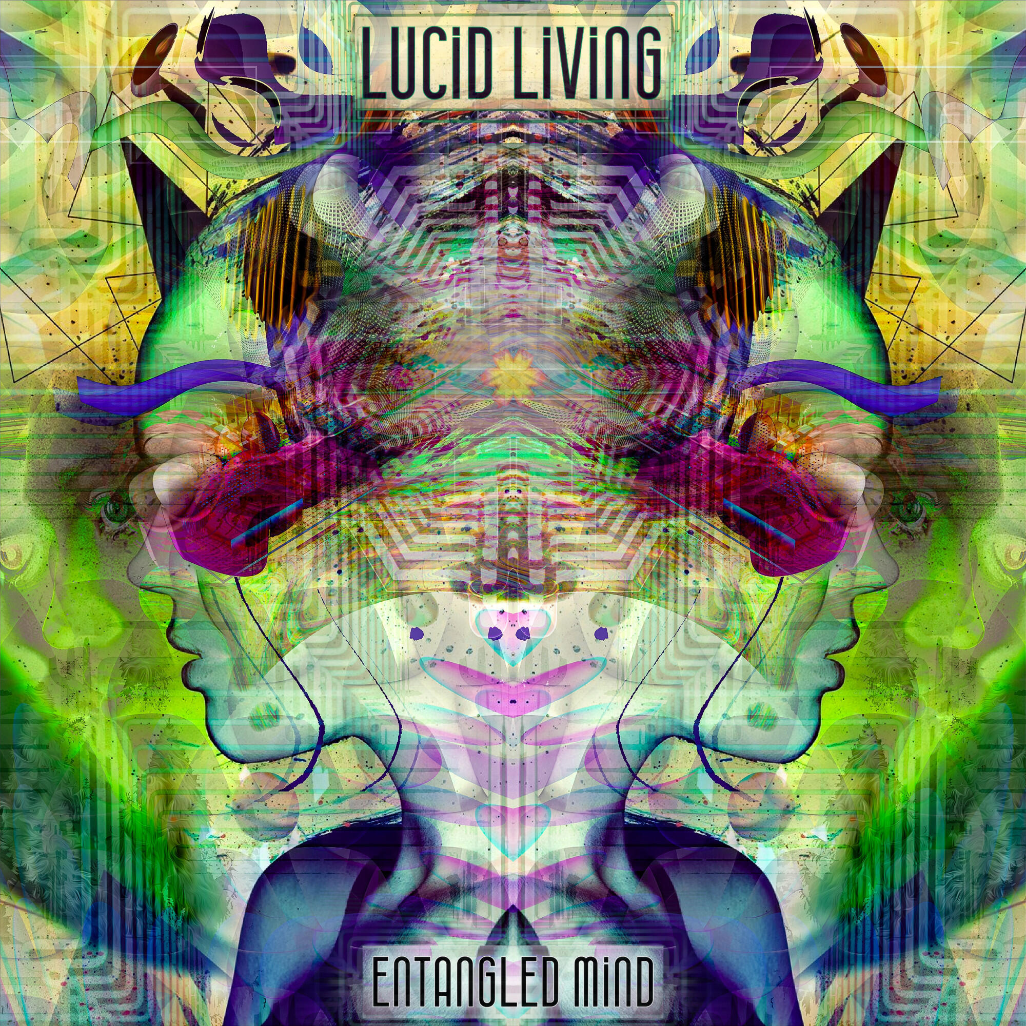 Релиз Lucid Living