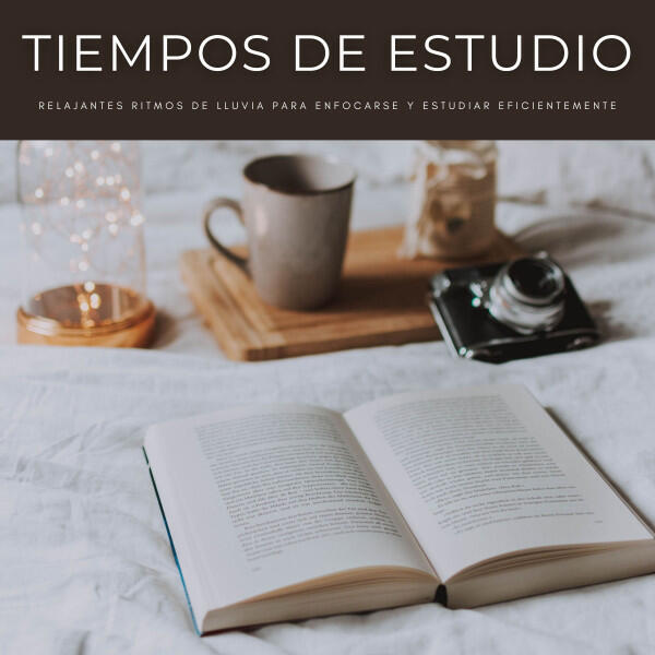 Релиз Tiempos De Estudio: Relajantes Ritmos De Lluvia Para Enfocarse y Estudiar Eficientemente