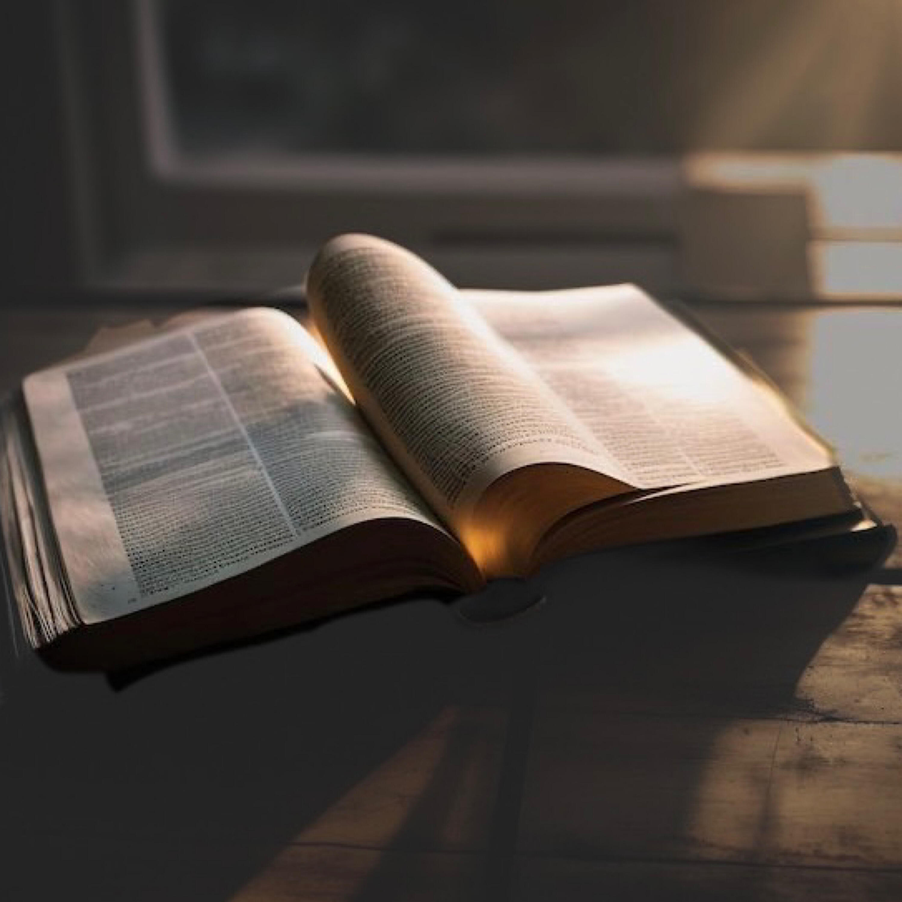 Релиз Biblia de Hipocresía