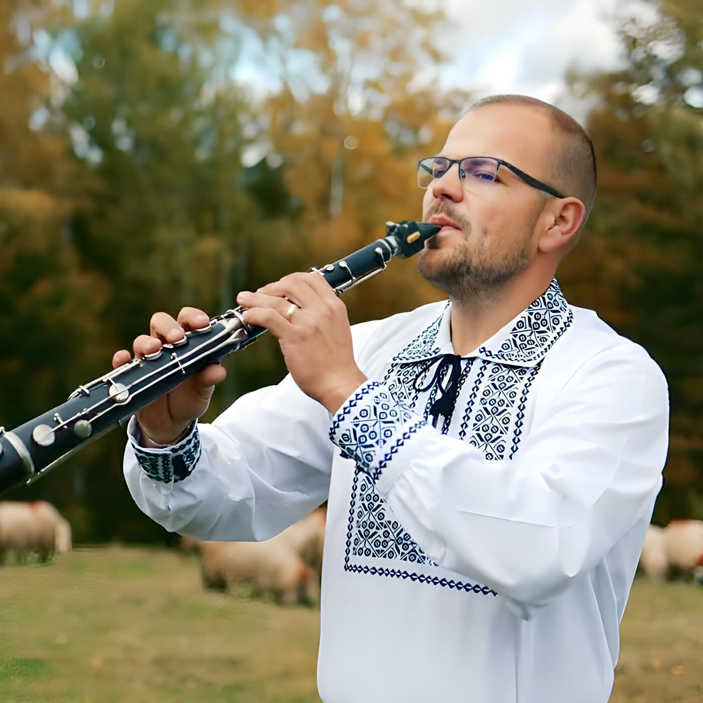 Релиз Din Ardeal Pana-n Banat