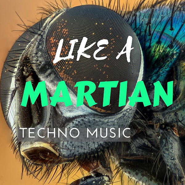 Релиз Like A Martian Techno Music