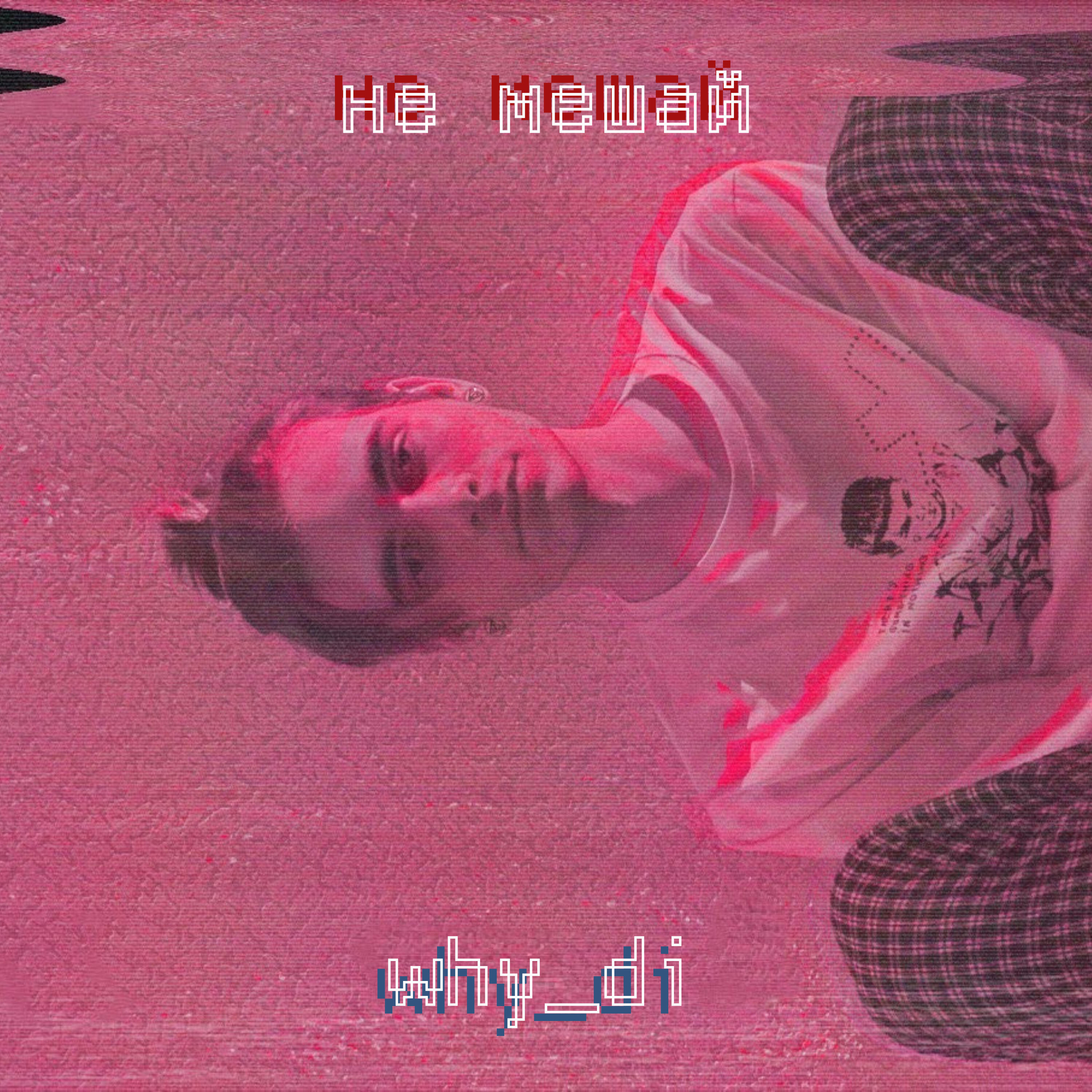 WHY_DI