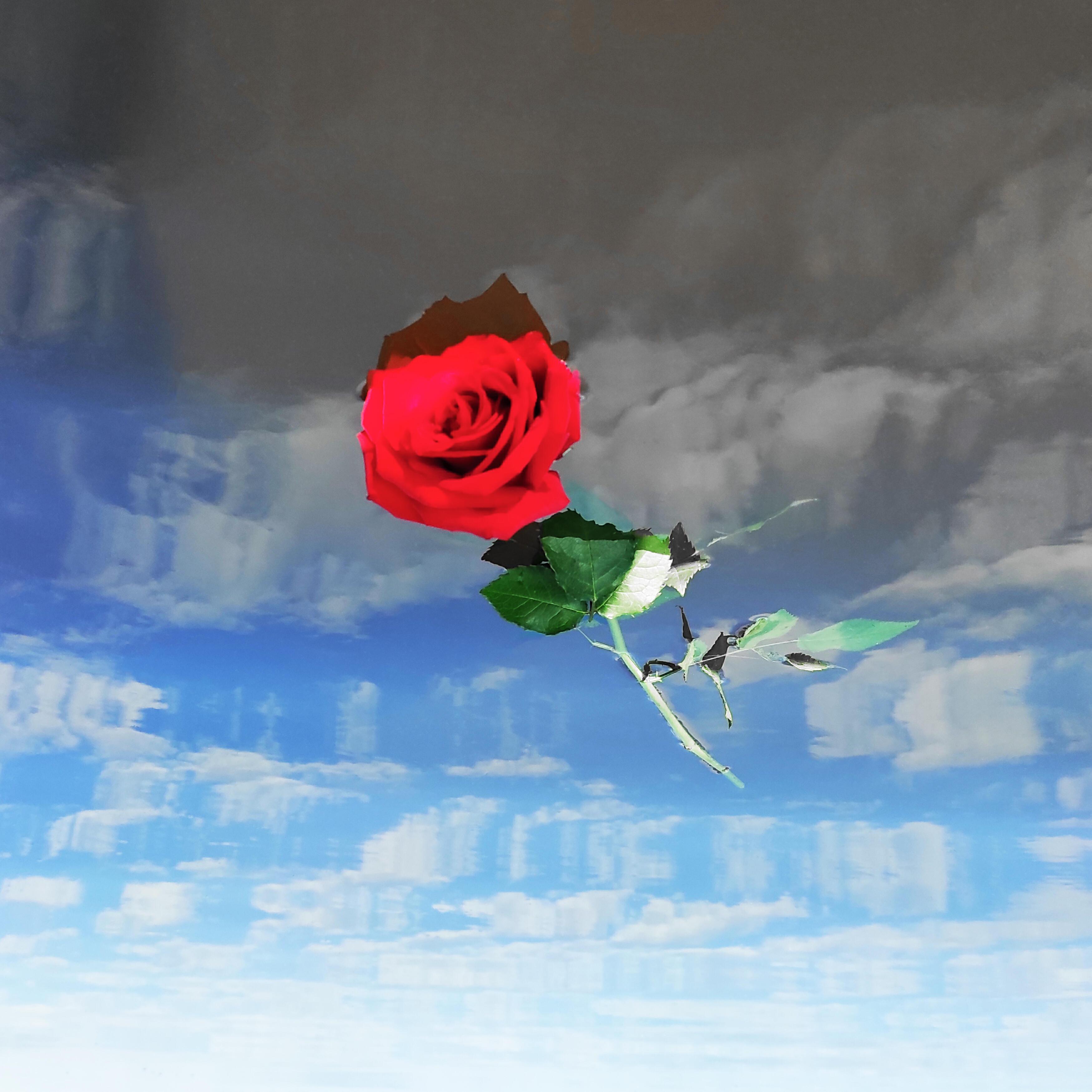 Александр Гребнев