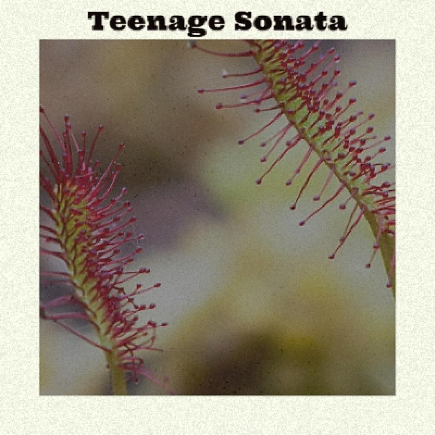 Постер альбома Teenage Sonata