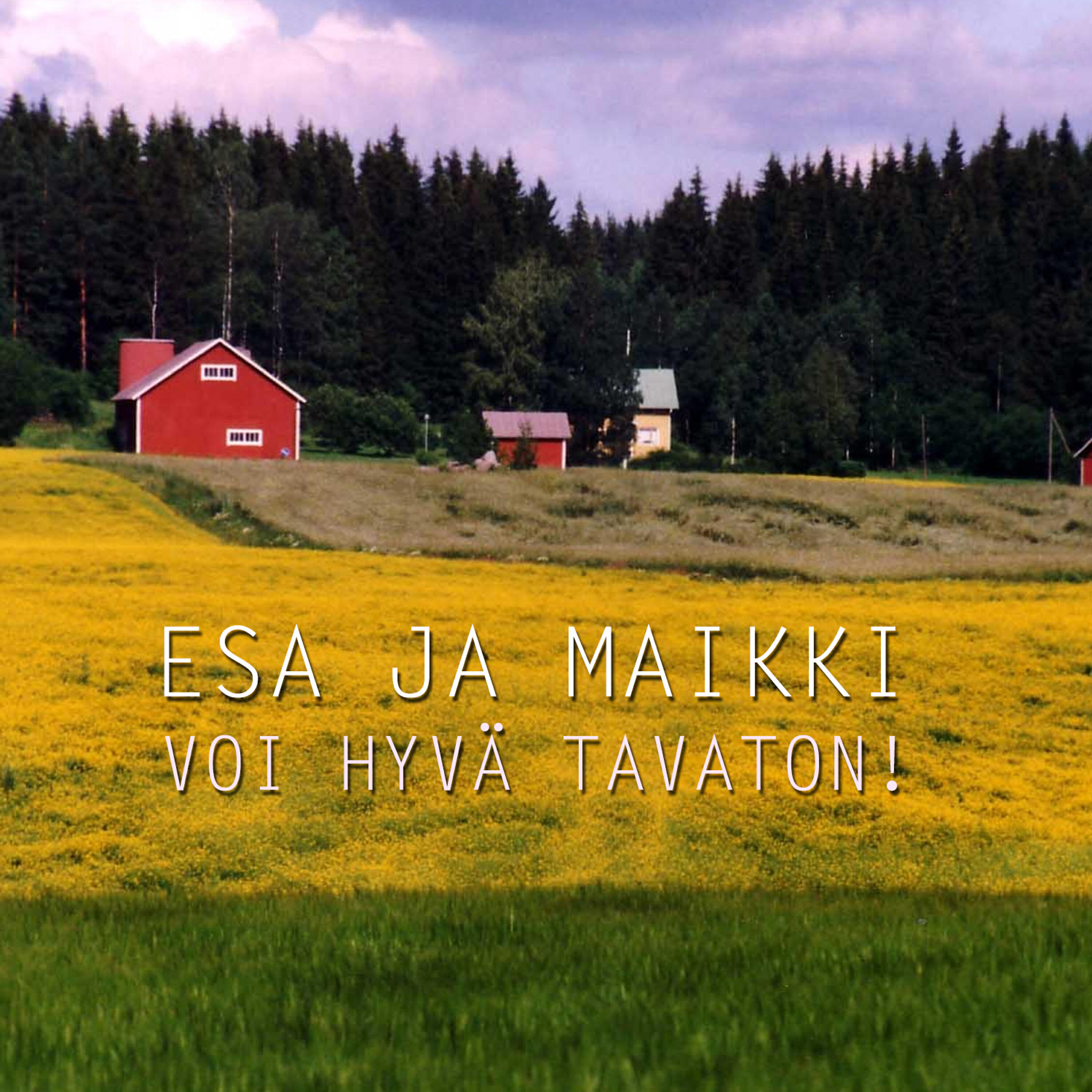 Релиз Voi Hyvä Tavaton!