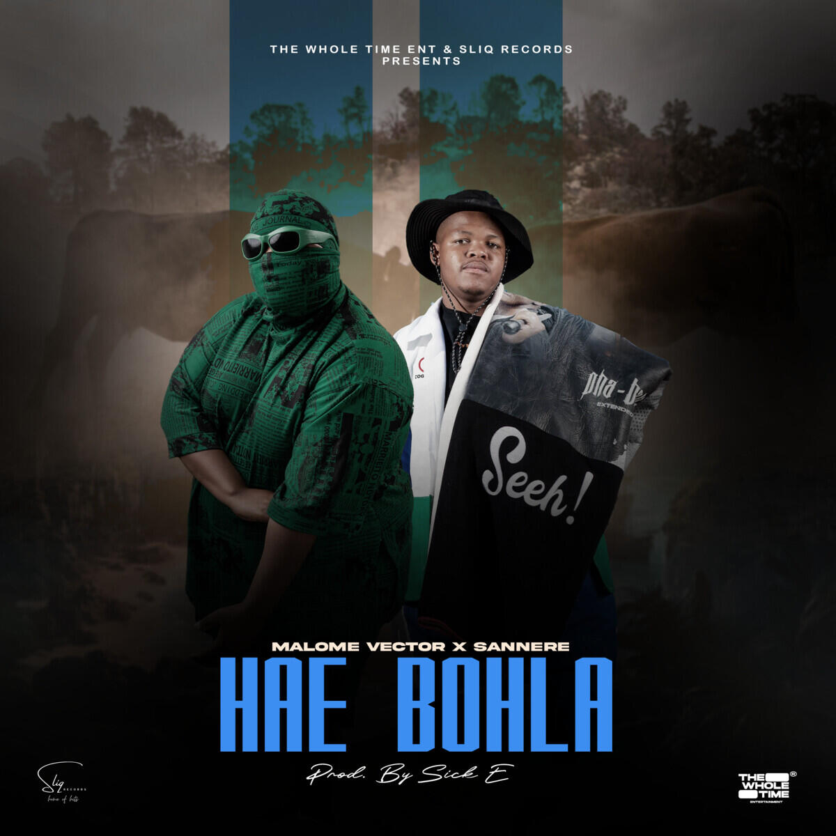 Релиз Hae Bohla
