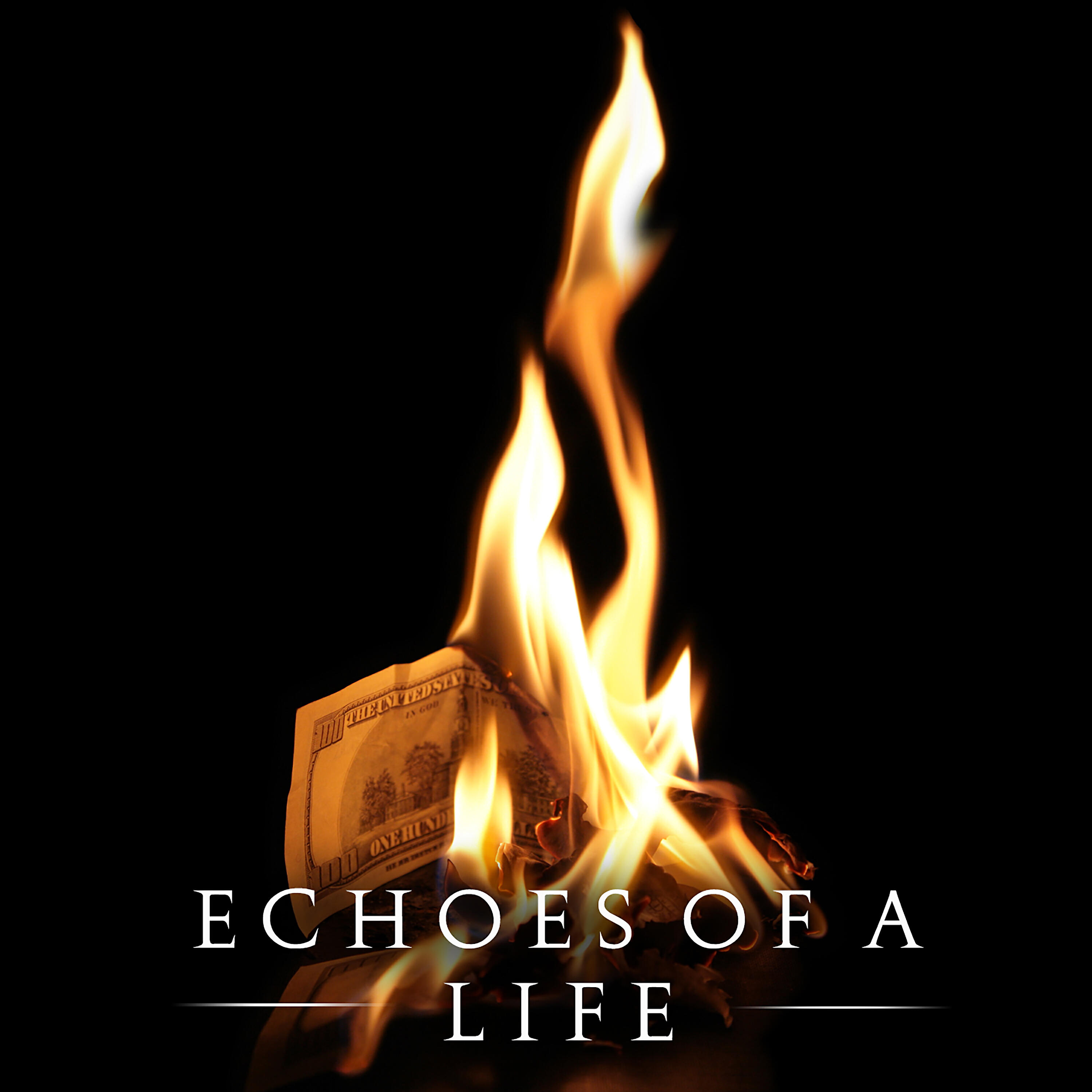 Релиз Echoes Of a Life