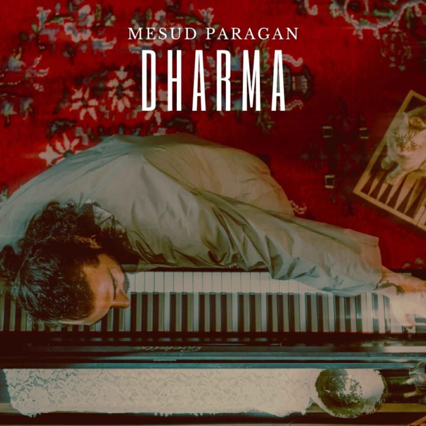 Релиз Dharma