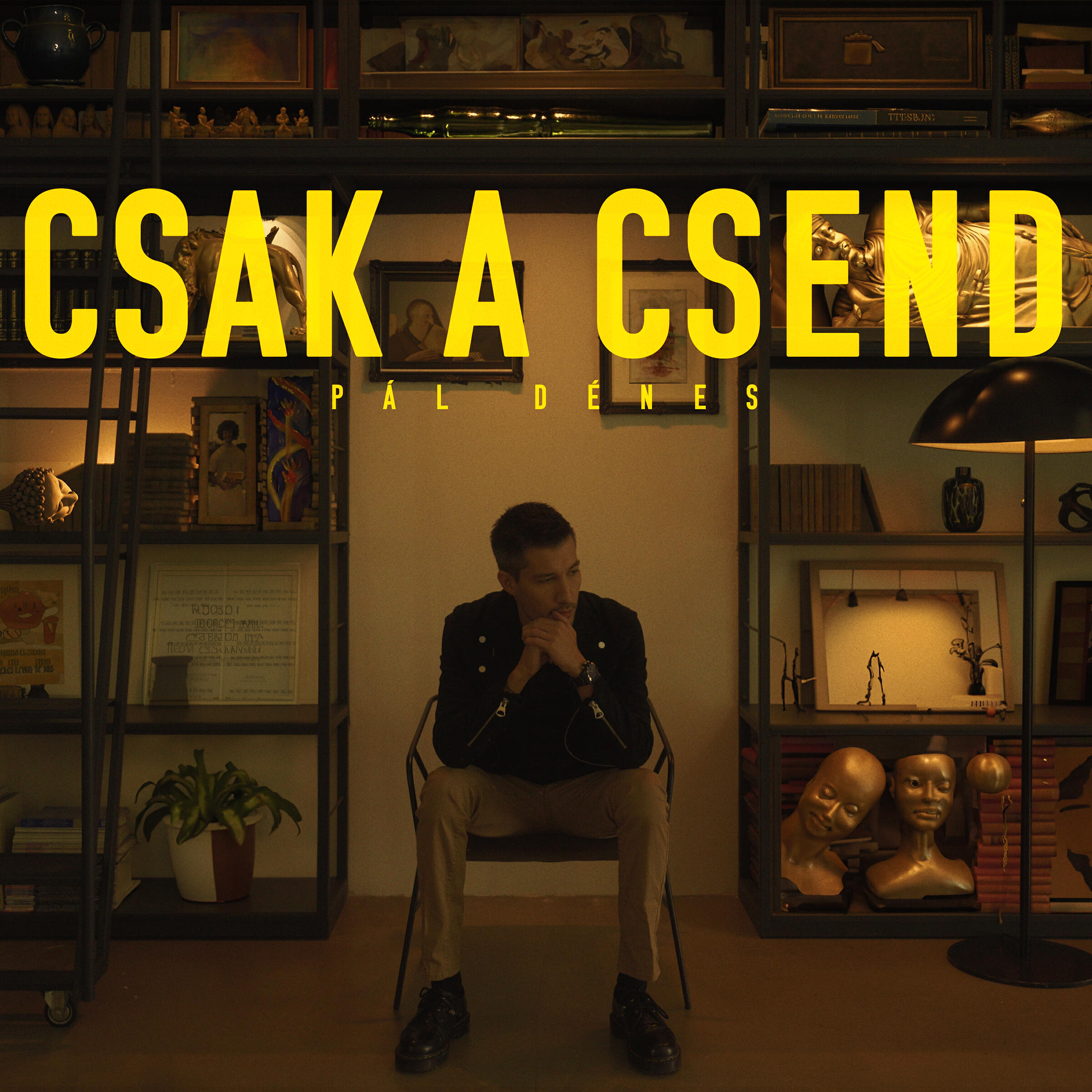 Релиз Csak a csend