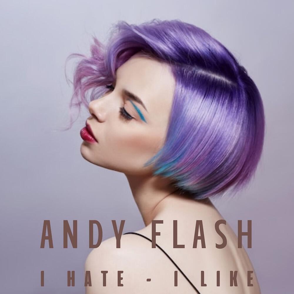 Релиз Andy Flash - I Hate I Like
