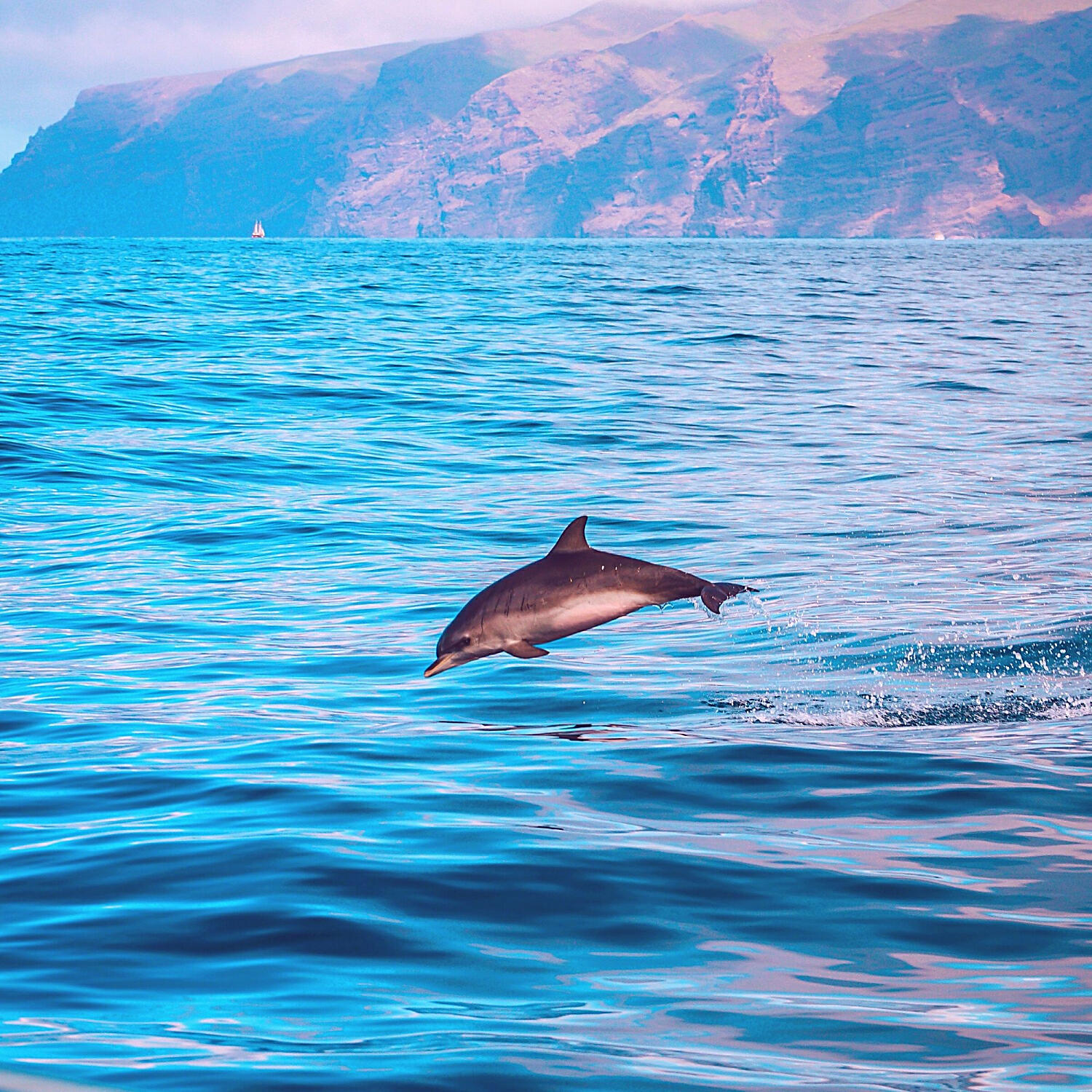 Релиз Music for Summertime - Spectacular Latin Music